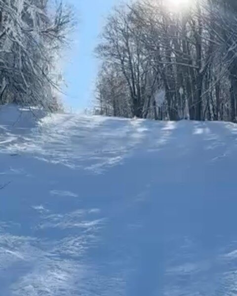 Ski, ski prep, test , repeat. Started working with patrol this week and getting some turns in.