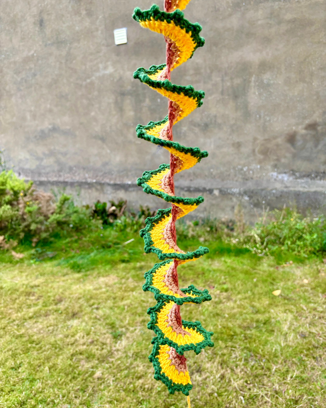 Dublin Bay Crochet
