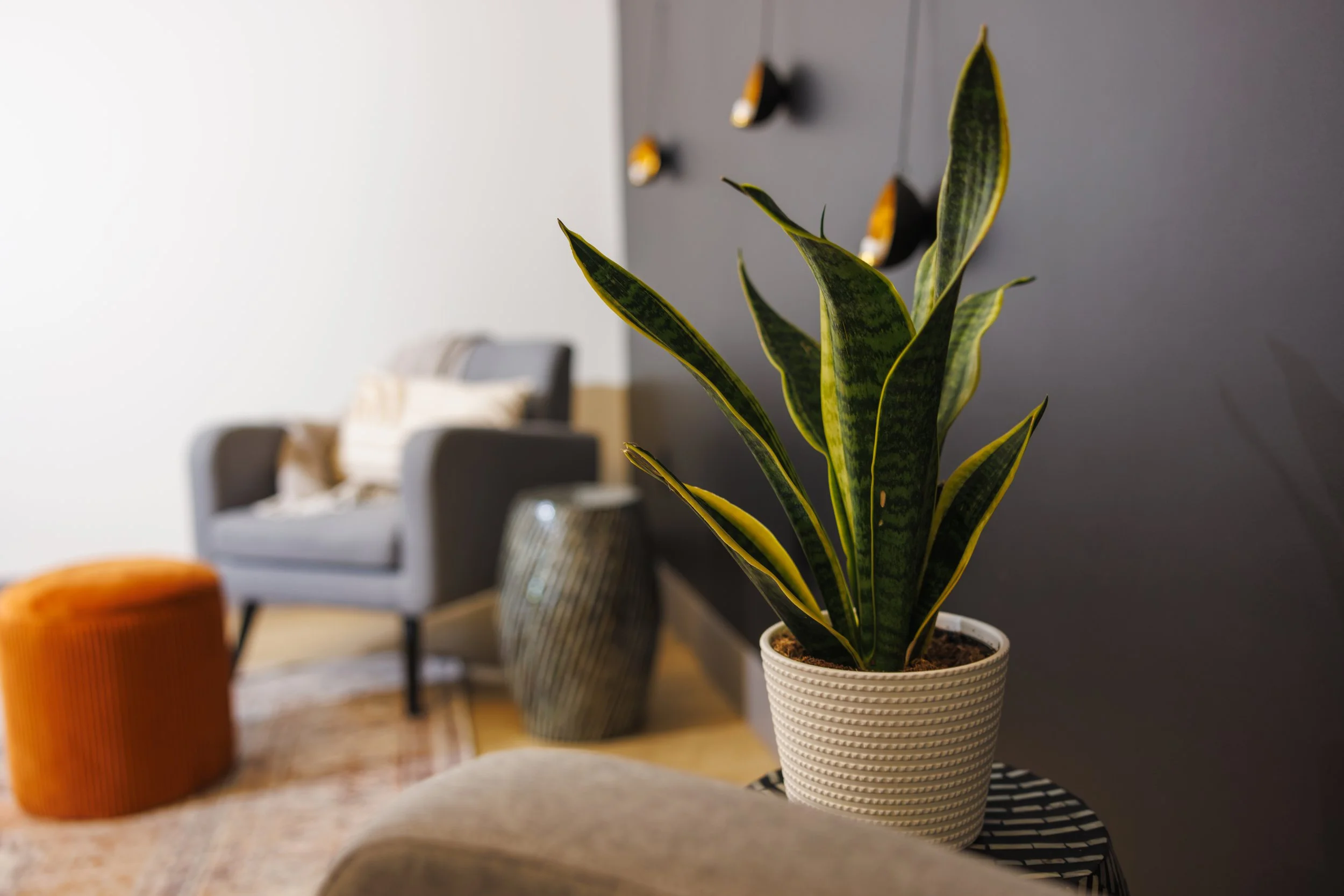 __WEBSITE__RW_4261 (1).jpg