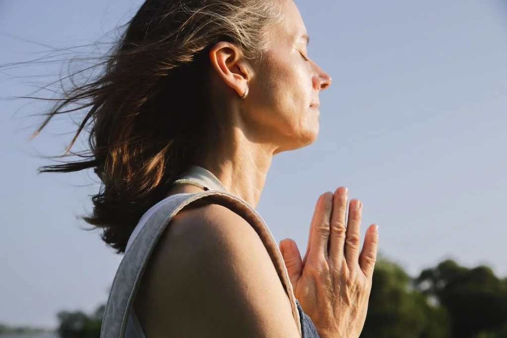 Mindfulness After Retreat, Psychedelic Work, or Major Change: Integration and Support