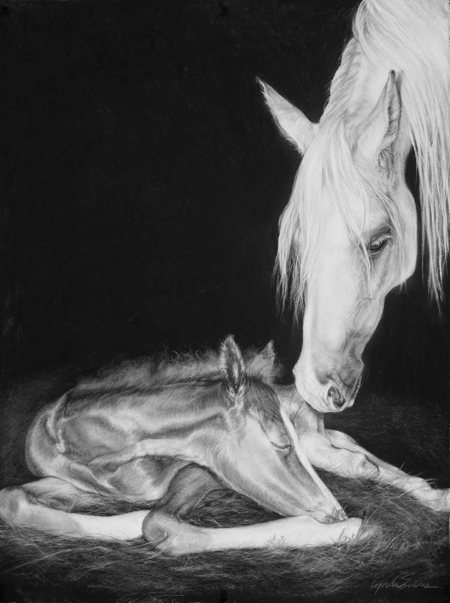 Nest, charcoal, 30" x 22" pastel, graphite (available as custom archival print)