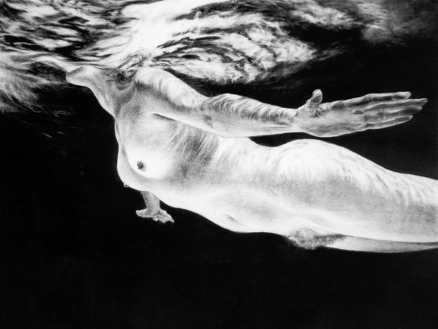 Wings Have Allies, 38" x 52" charcoal