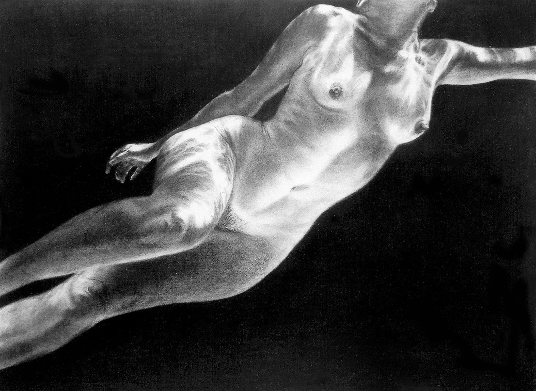 Spring: Persephone's Ascent, 38" x 52" charcoal