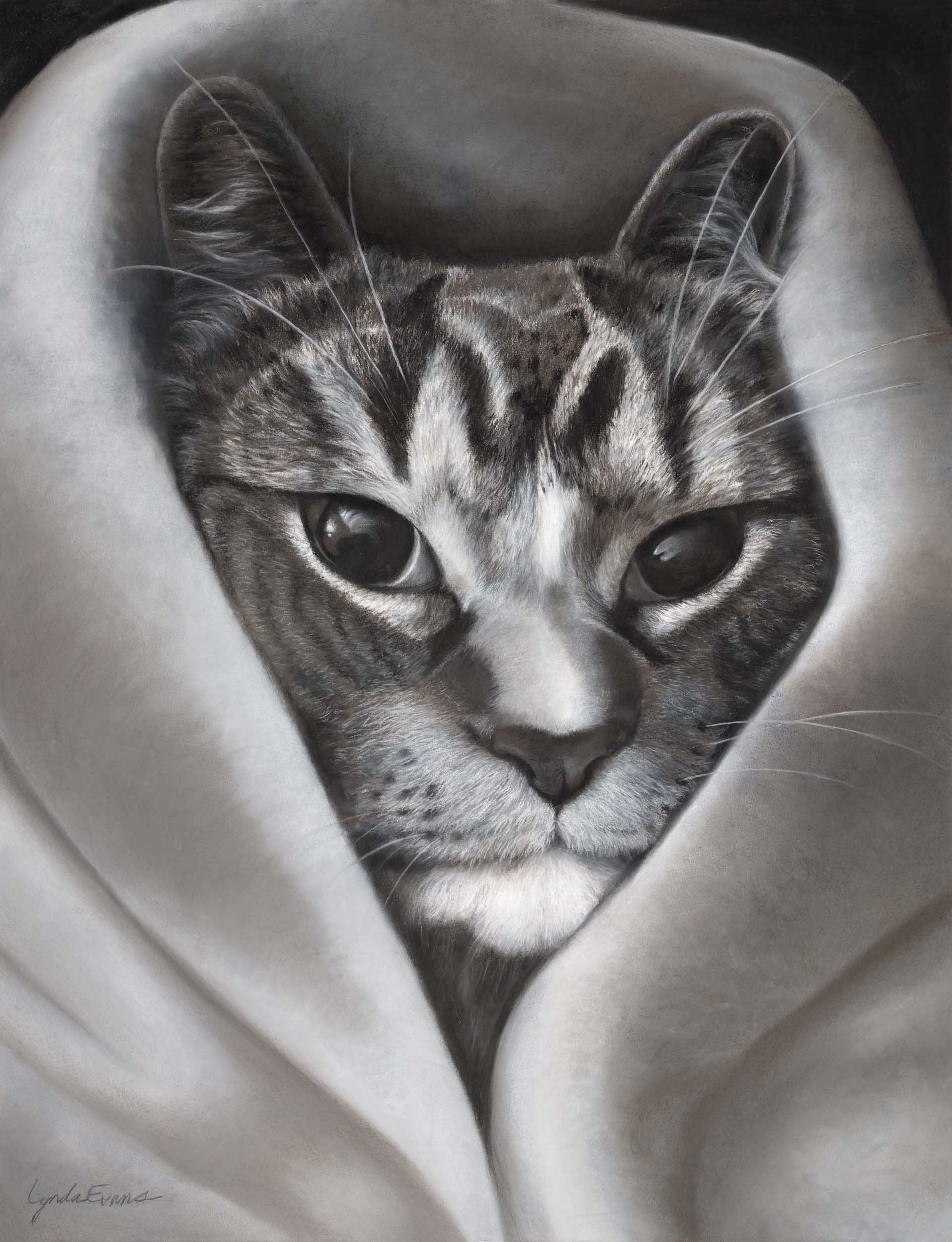 Bowdy, 48” x 36” charcoal, pastel, graphite on heavy 100% rag drawing paper