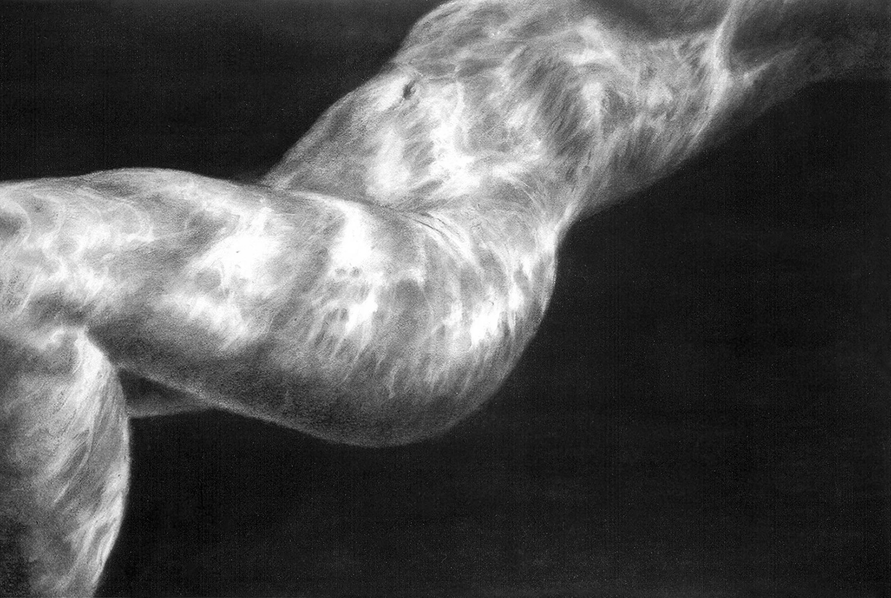 Study: Emergence, 24" x 36" charcoal