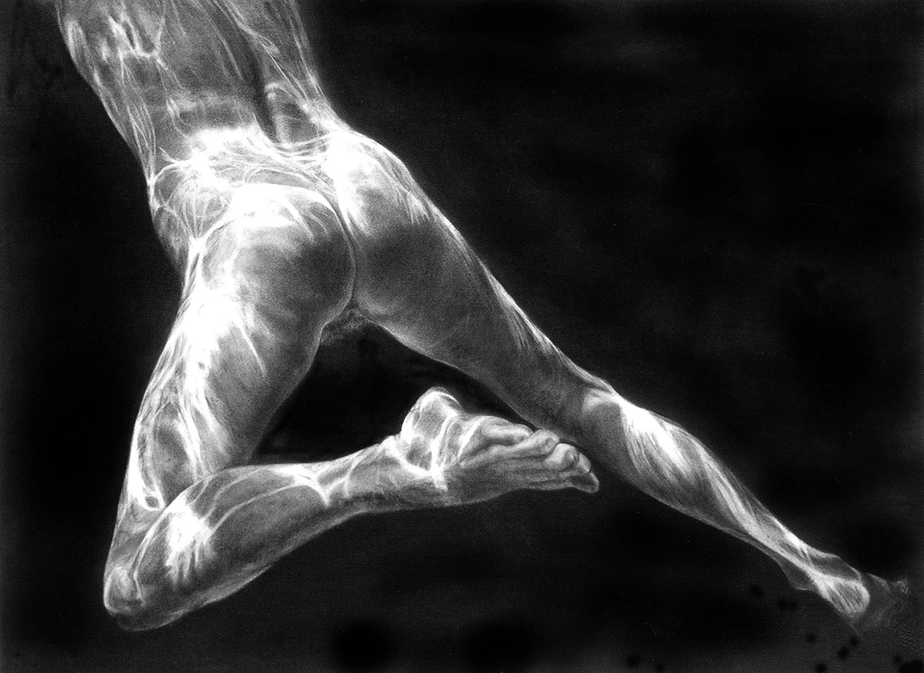 The Call: Cut Your Losses and Run, 38" x 52" charcoal