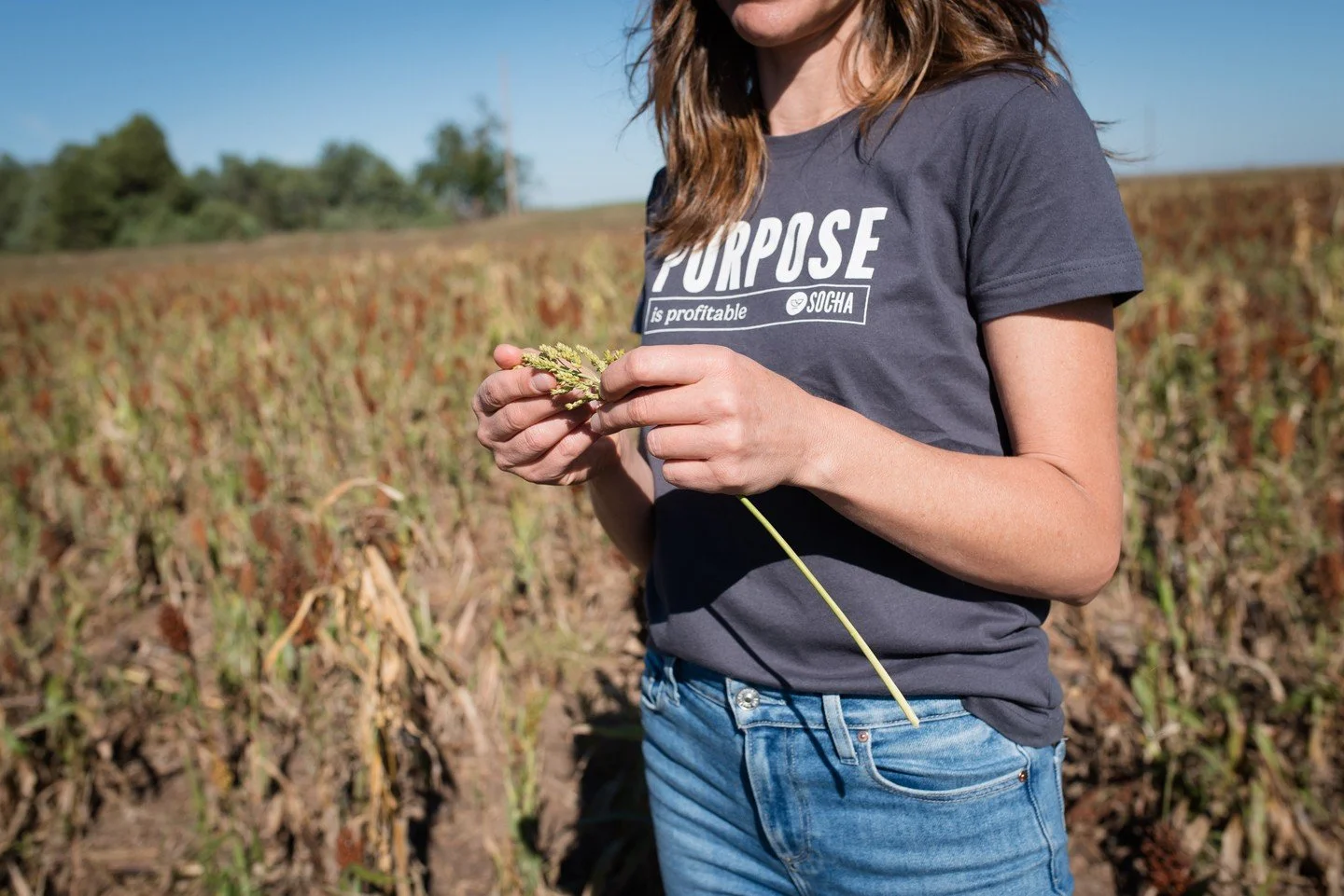 It was a pleasure to work with two businesses committed to being good stewards of the land. ⁠
⁠
Socha helps build the brands for the thought leaders and bold visionaries who believe good food can change the world. @kristineroot is the leader of this 