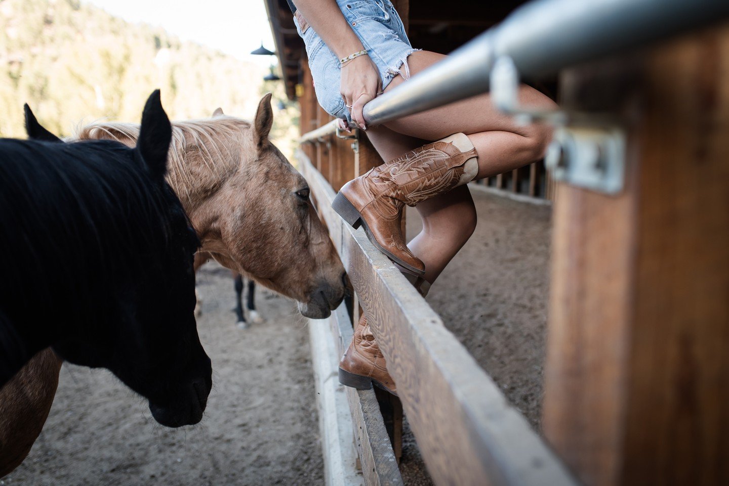 This week marks the year of the fire horse, signaling momentum, freedom, and transformation. I hope we all feel the beautiful energy of these creatures that are so intelligent, bold, and strong. ⁠
⁠
A cowgirl needs a horse and this one knows her way 