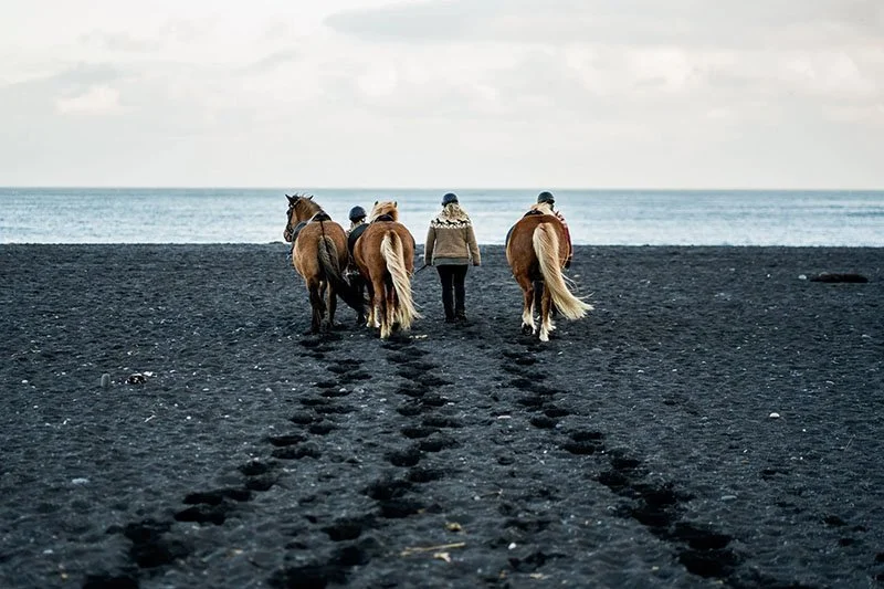 horseback-riding-iceland-black-beach.jpg