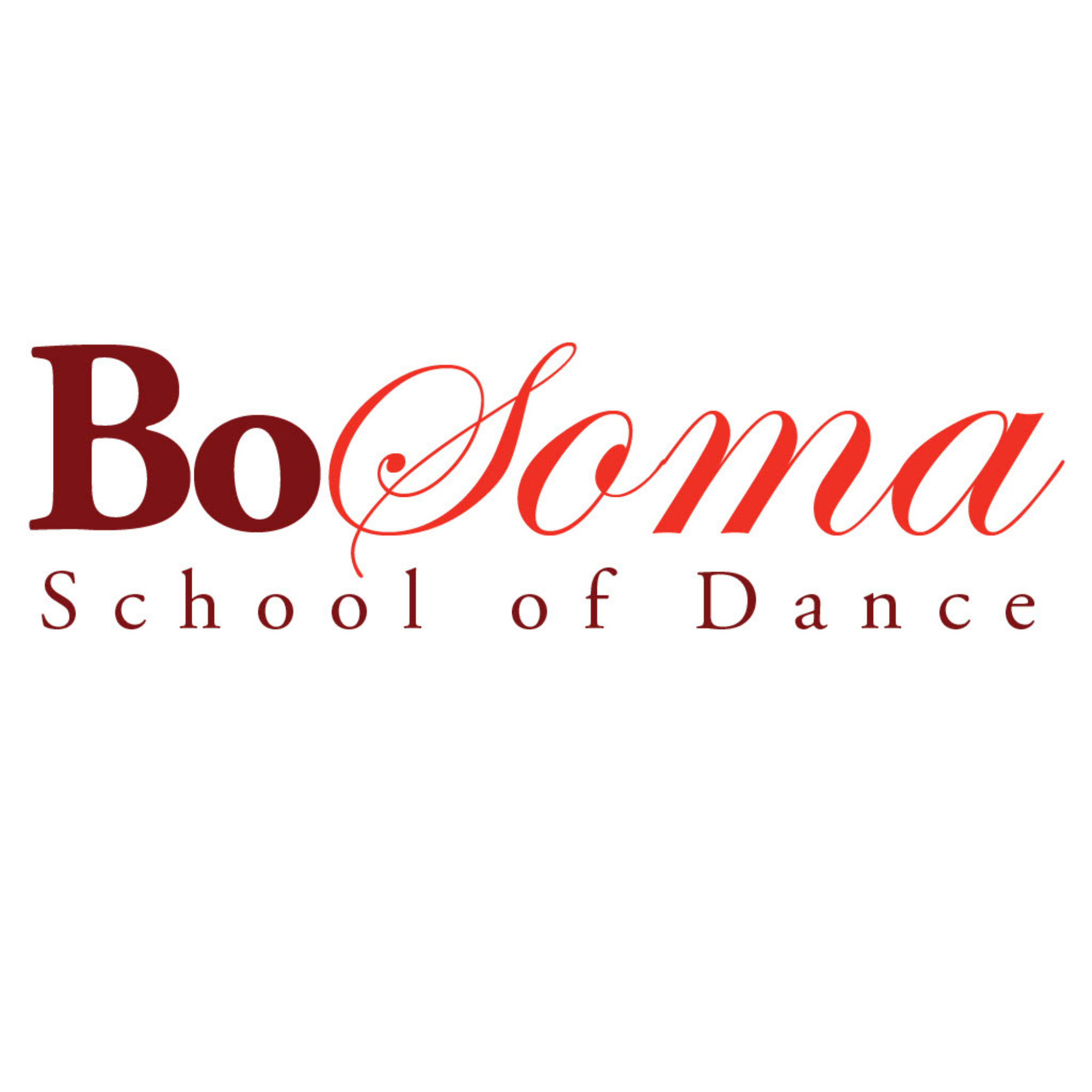 BS Logo Race Page.png