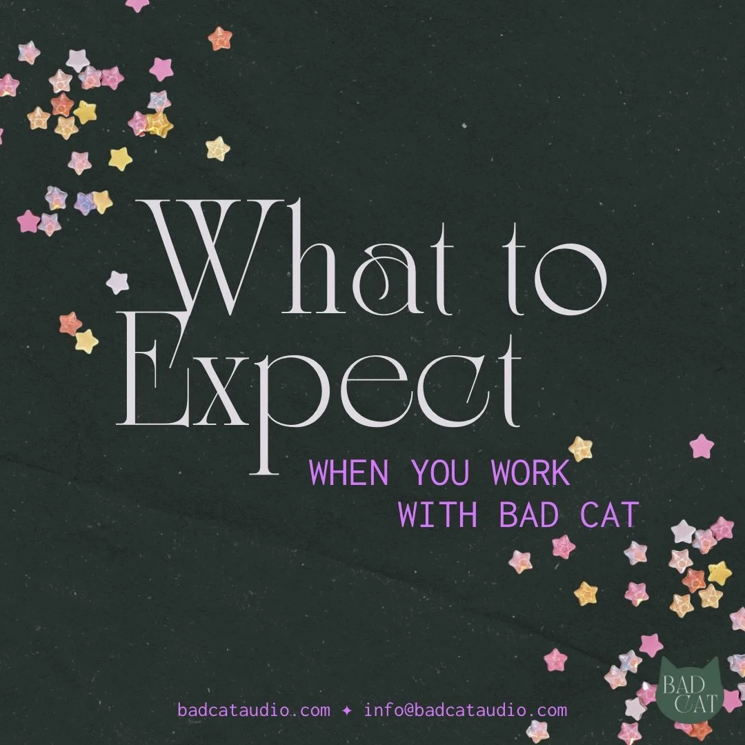 A bit of clarity for those who may be curious!

✨about✨

Bad Cat is a small audio production collective that supports independent podcasters in their explorations of healing, wellness, community, and laughter. Learn more at the link in our bio. 

✨ta