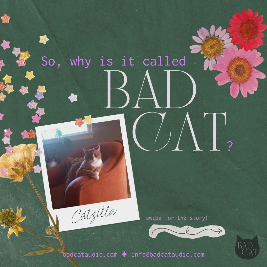 Meet my business&rsquo; namesake, Catzilla 🥲 read her full origin story on badcataudio.com/blog

✨about✨

Bad Cat is a small audio production collective that supports independent podcasters in their explorations of healing, wellness, community, and 