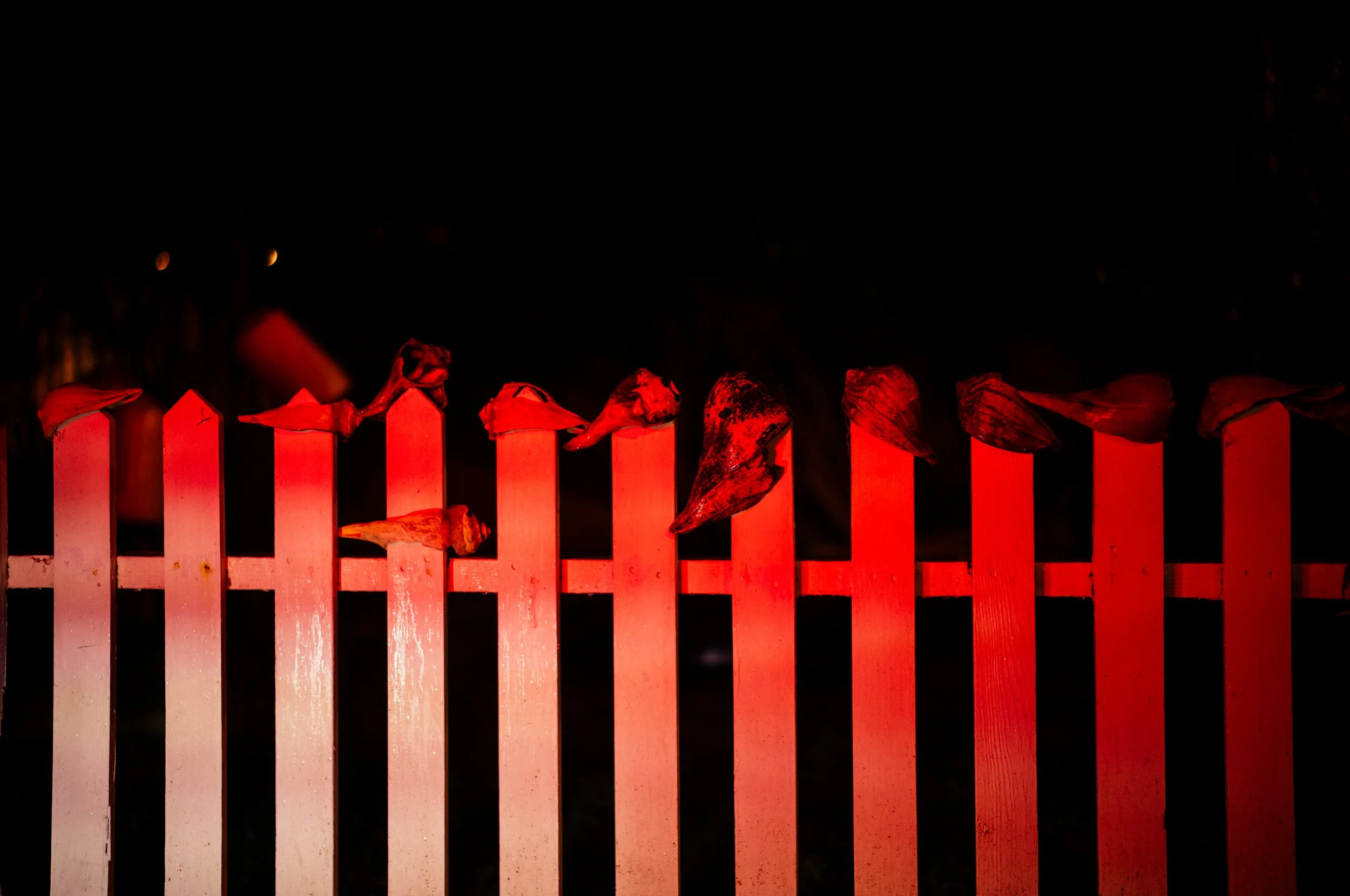 A white picket fence illuminated in red light at night, with dried leaves hanging on top of the fence.