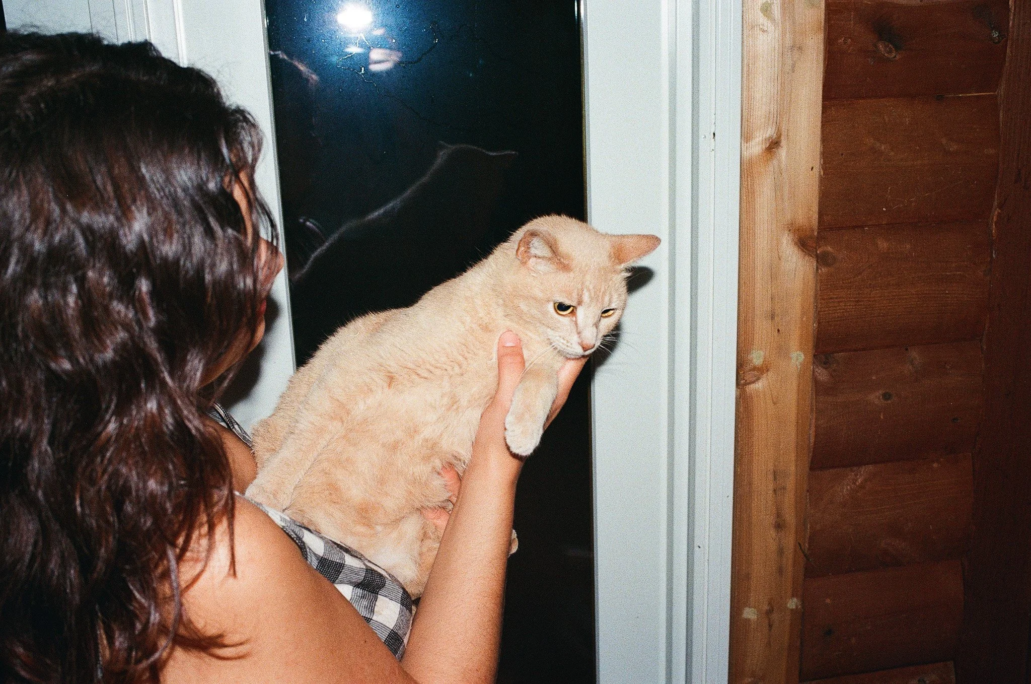 A person with long wavy brown hair holding a light orange cat indoors near a window or glass door.