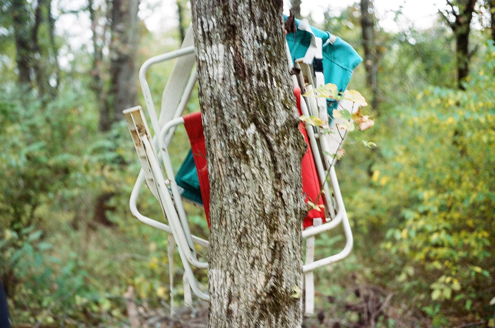 A tree with a folding chair, a backpack, and clothing hanging on it in a forest setting.