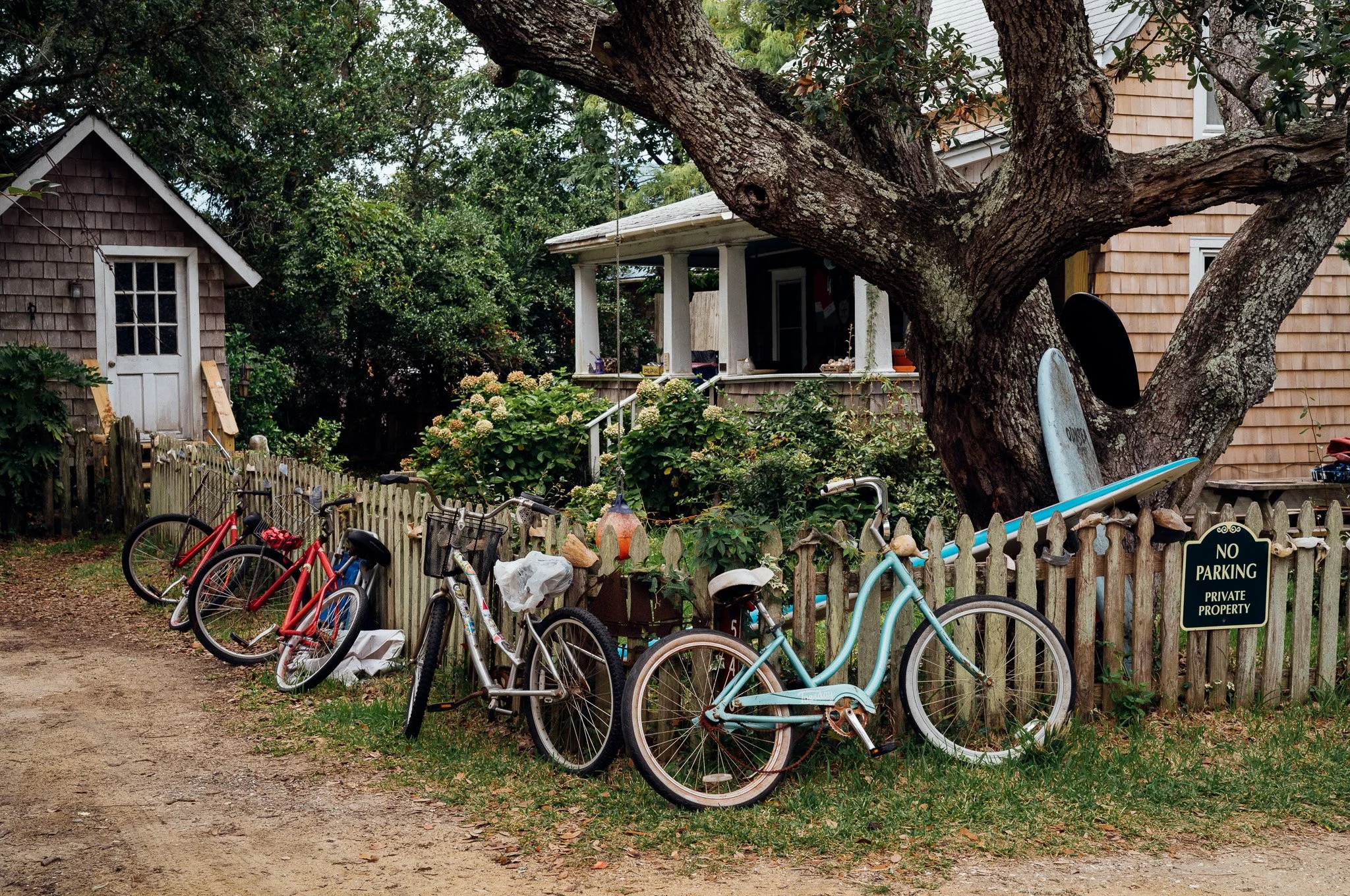 Several bicycles and a surfboard leaning against a tree in a front yard enclosed by a wooden fence, with a house and garden in the background.