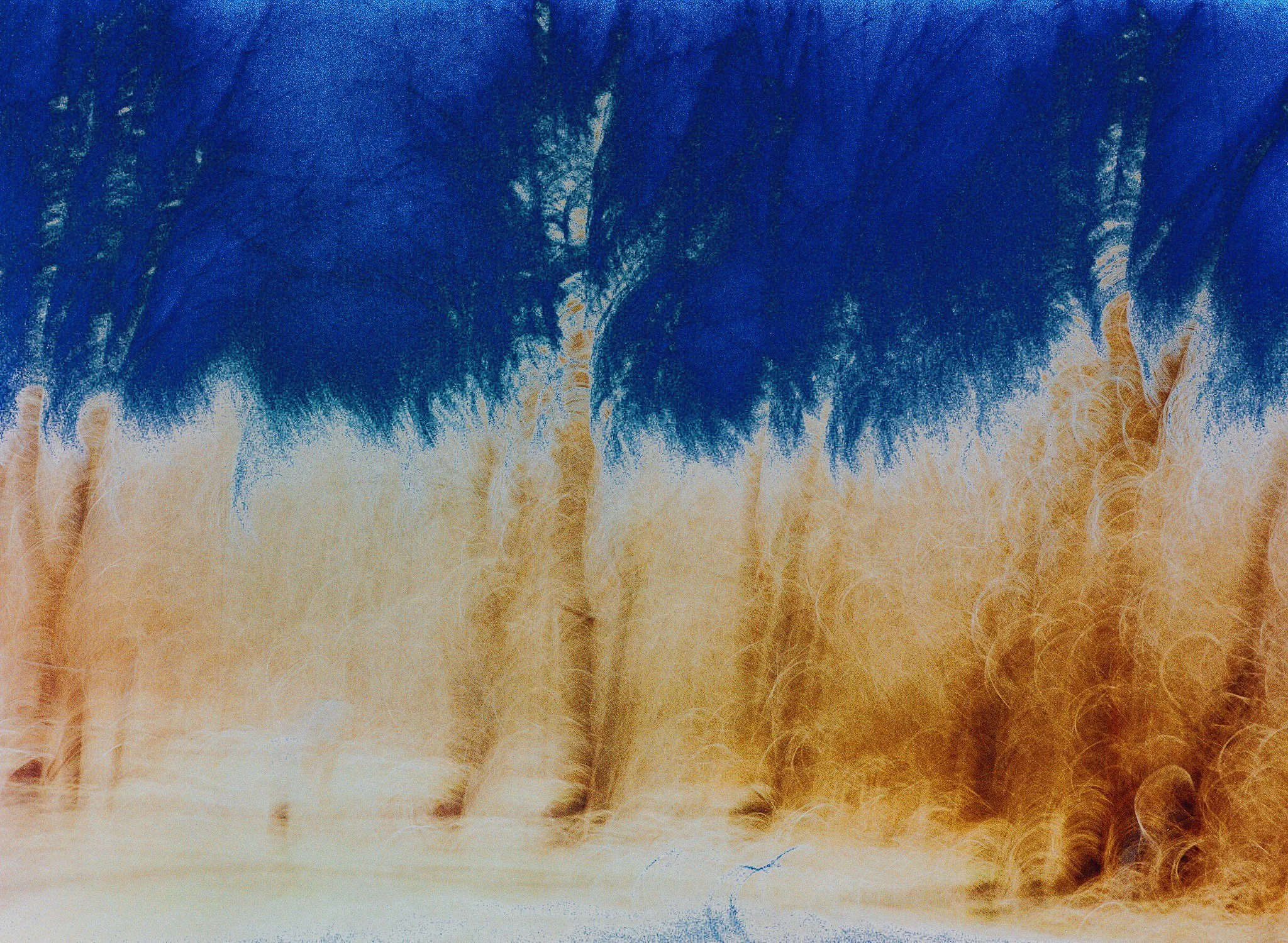 Abstract image with blue and beige colors, resembling a watercolor painting of trees or a landscape.