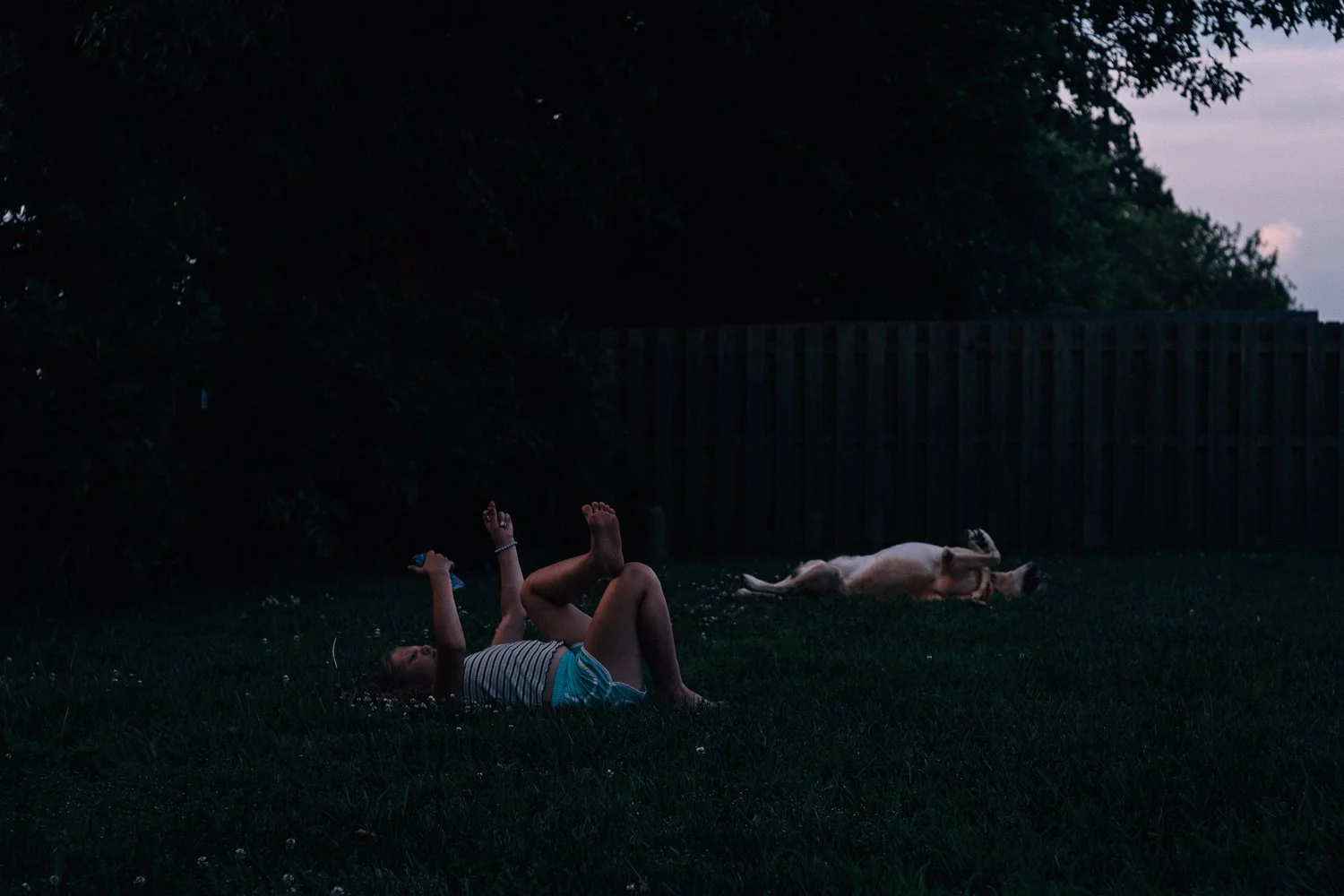 A young girl lying on her back on the grass with her legs bent and kicking, holding a phone in her left hand, next to a light-colored dog lying on its back with its legs in the air, in a backyard with trees and a wooden fence, during dusk.