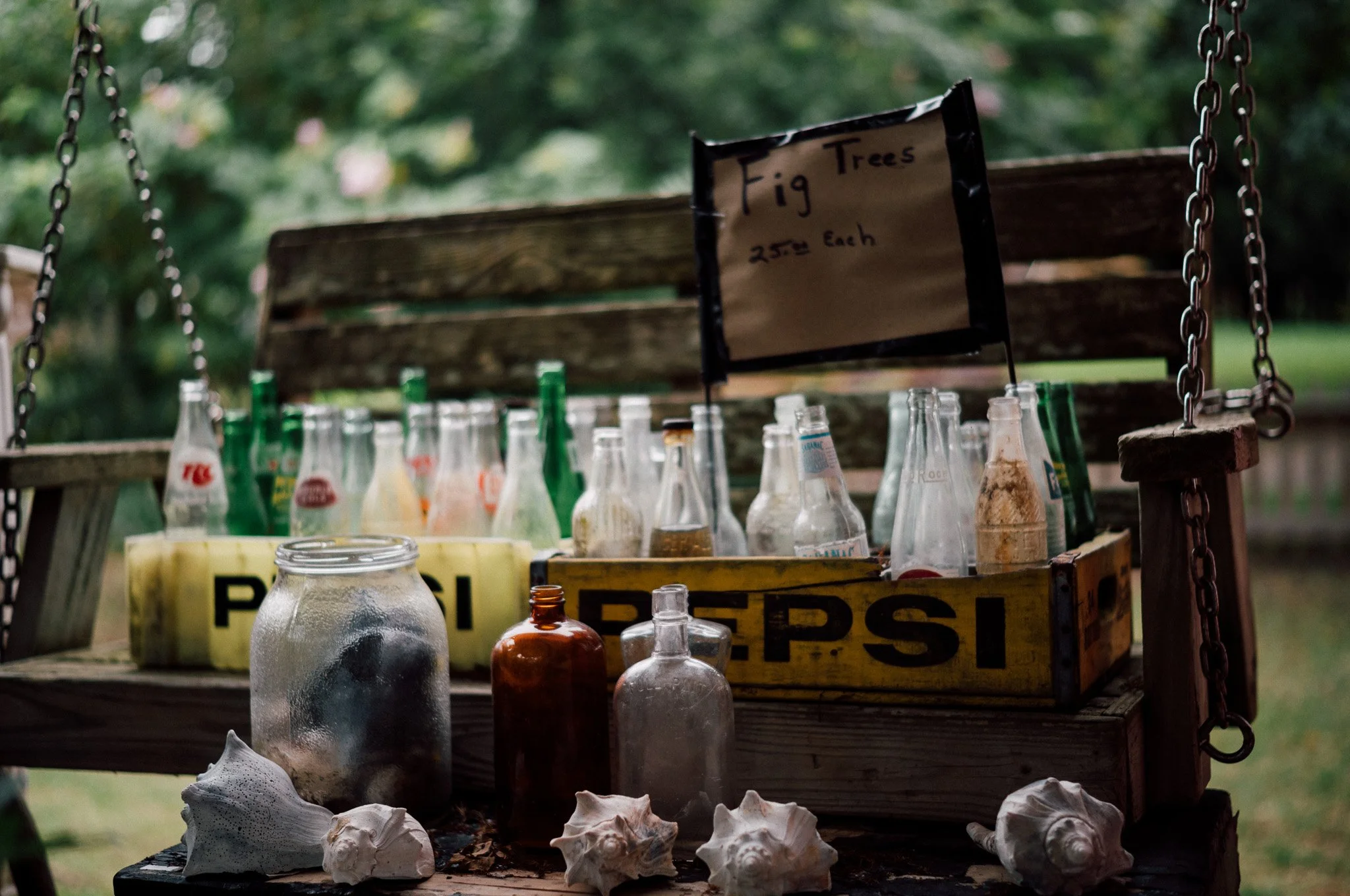 Display of empty vintage soda bottles, some shells, and a hand-written sign for fig trees.