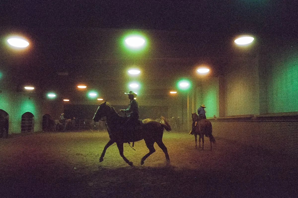 A person riding a horse inside an indoor arena with green and white overhead lights and several other horse riders in the background.