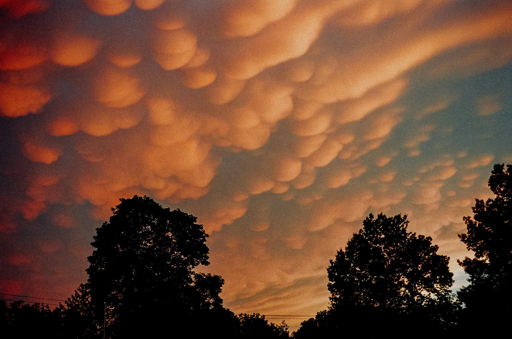A sunset sky filled with mammatus clouds, with silhouettes of trees in the foreground.