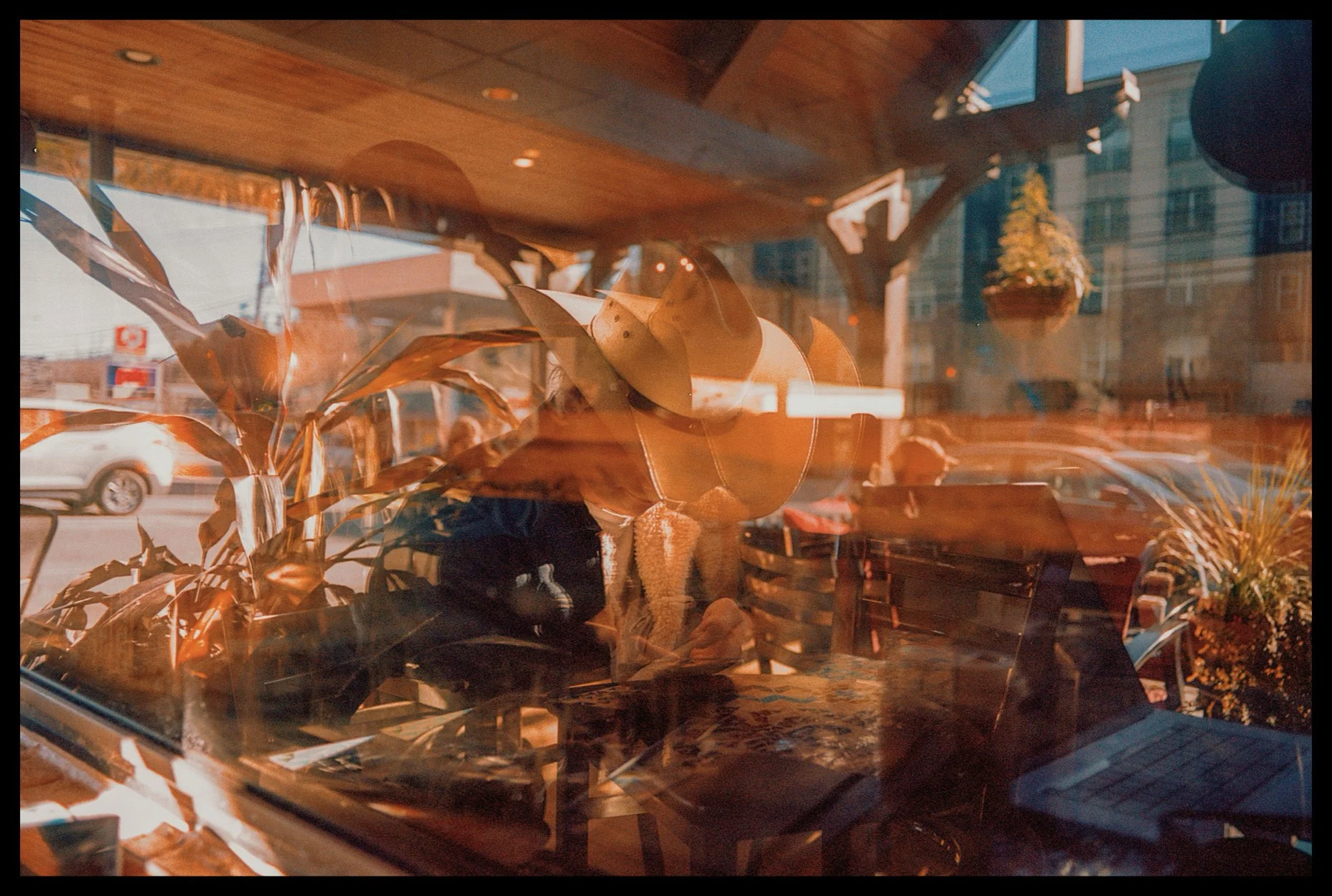 A cozy cafe with warm lighting, wooden furniture, and potted plants, viewed through a window that reflects the street scene outside, including parked cars and buildings.