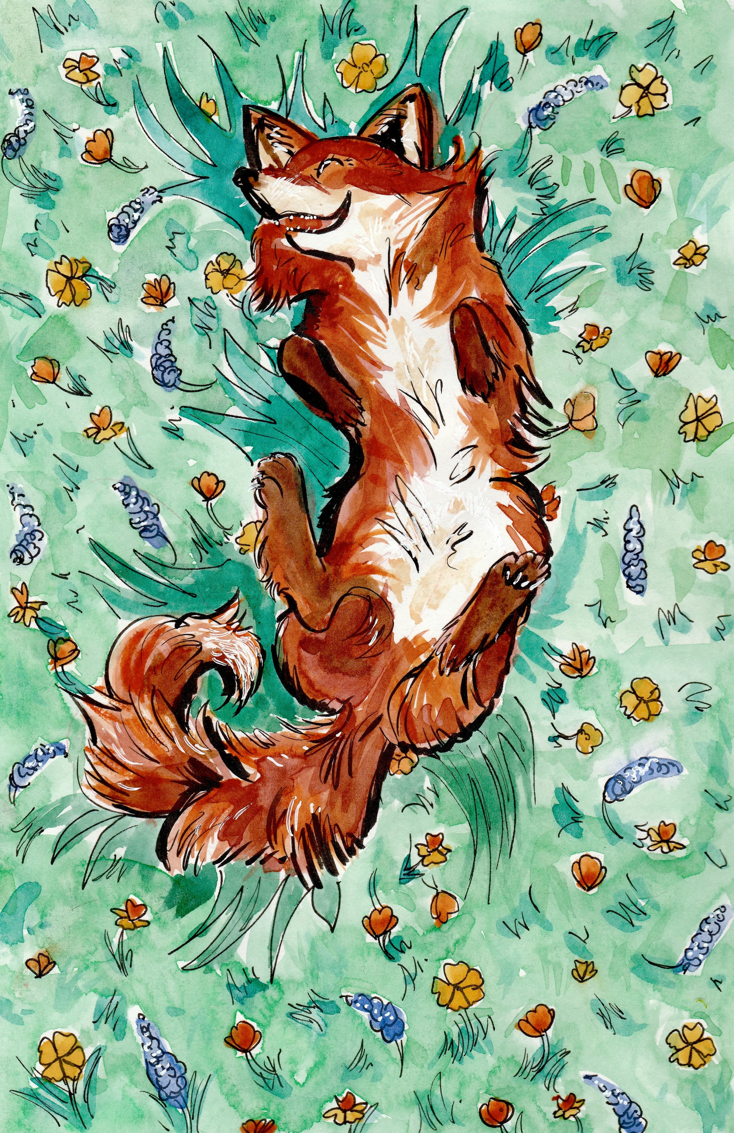 Fergus the Fox.jpeg