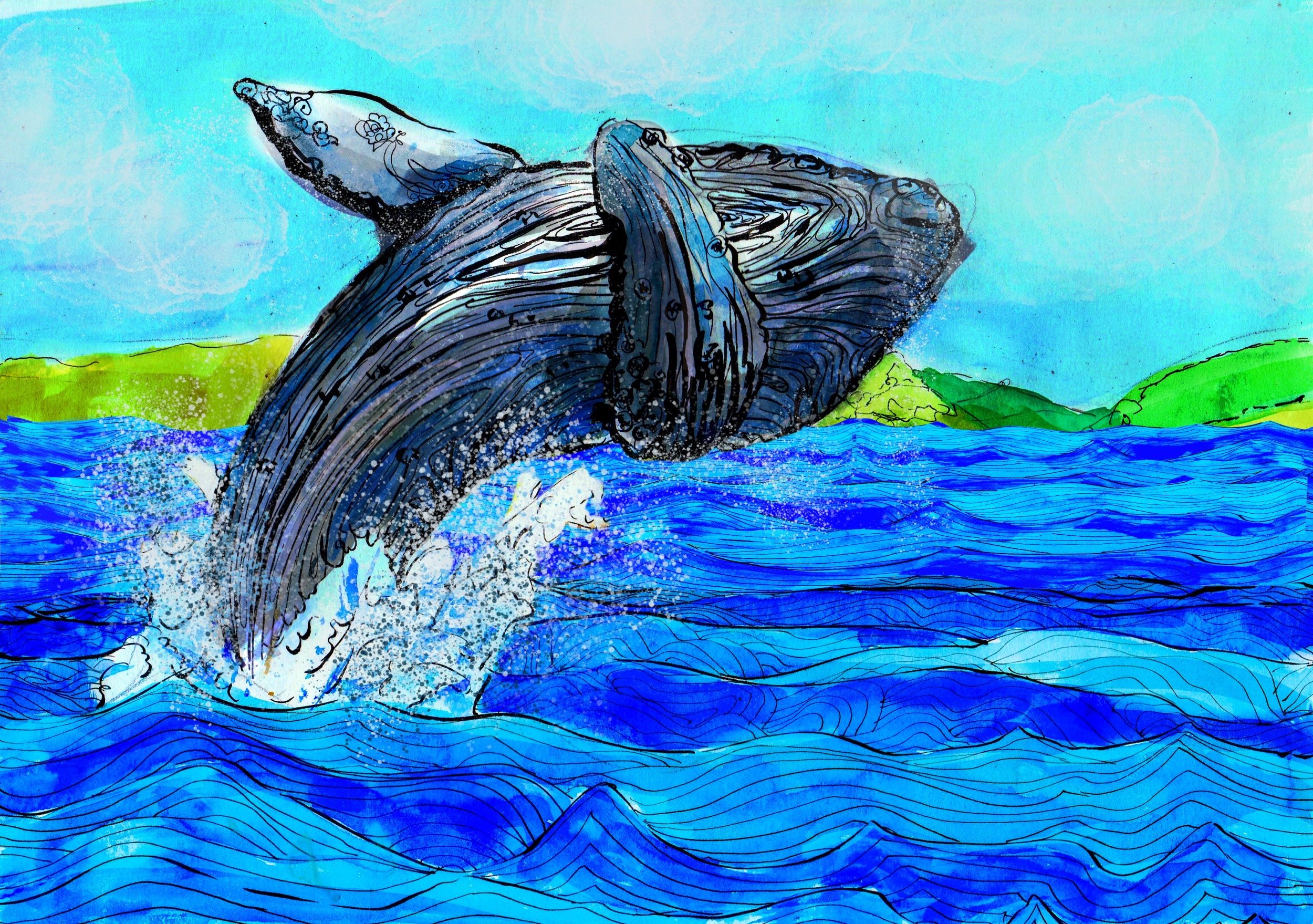Wallace the Whale.jpg