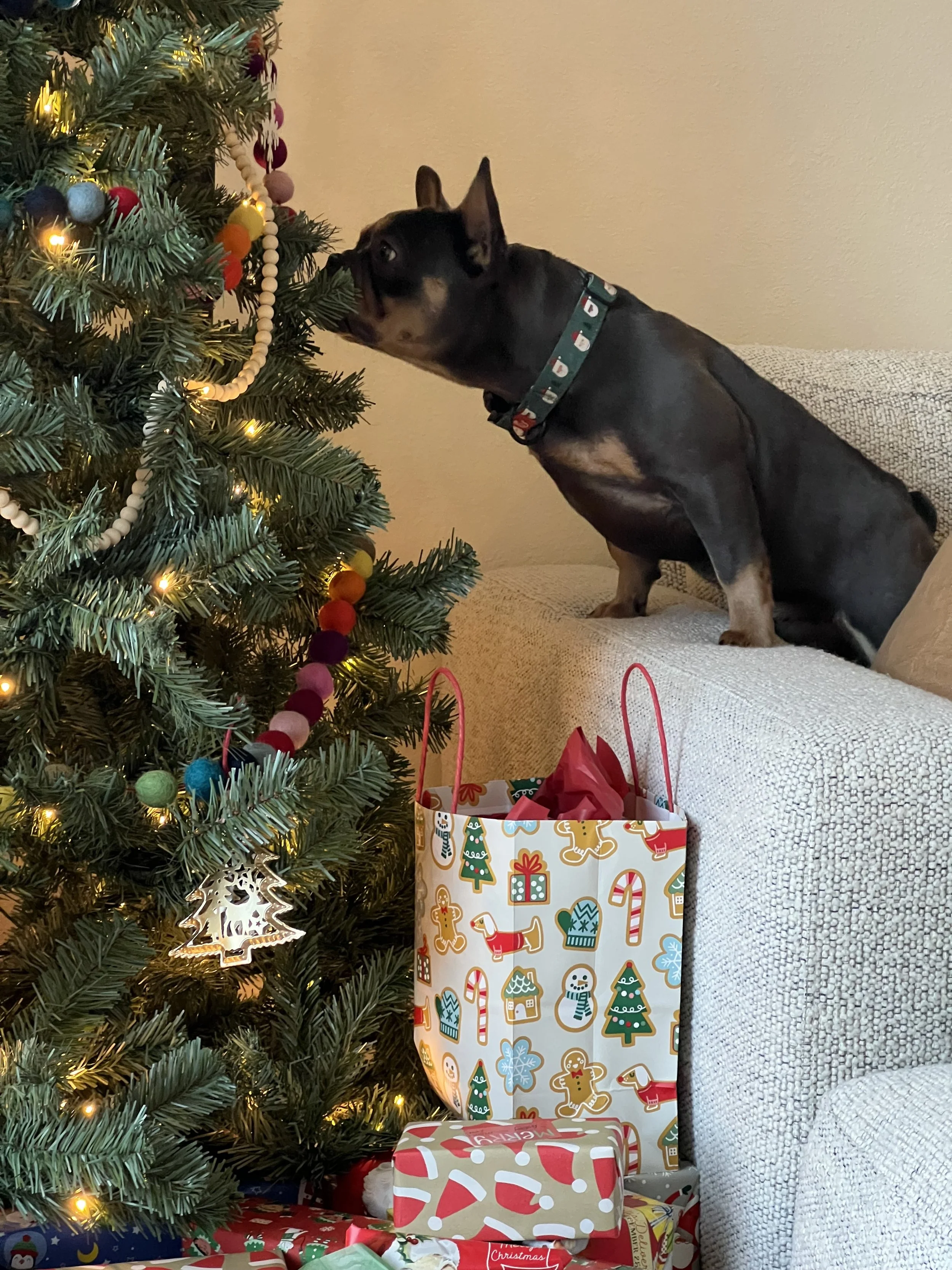 How to Prevent Overwhelm Around the Holidays