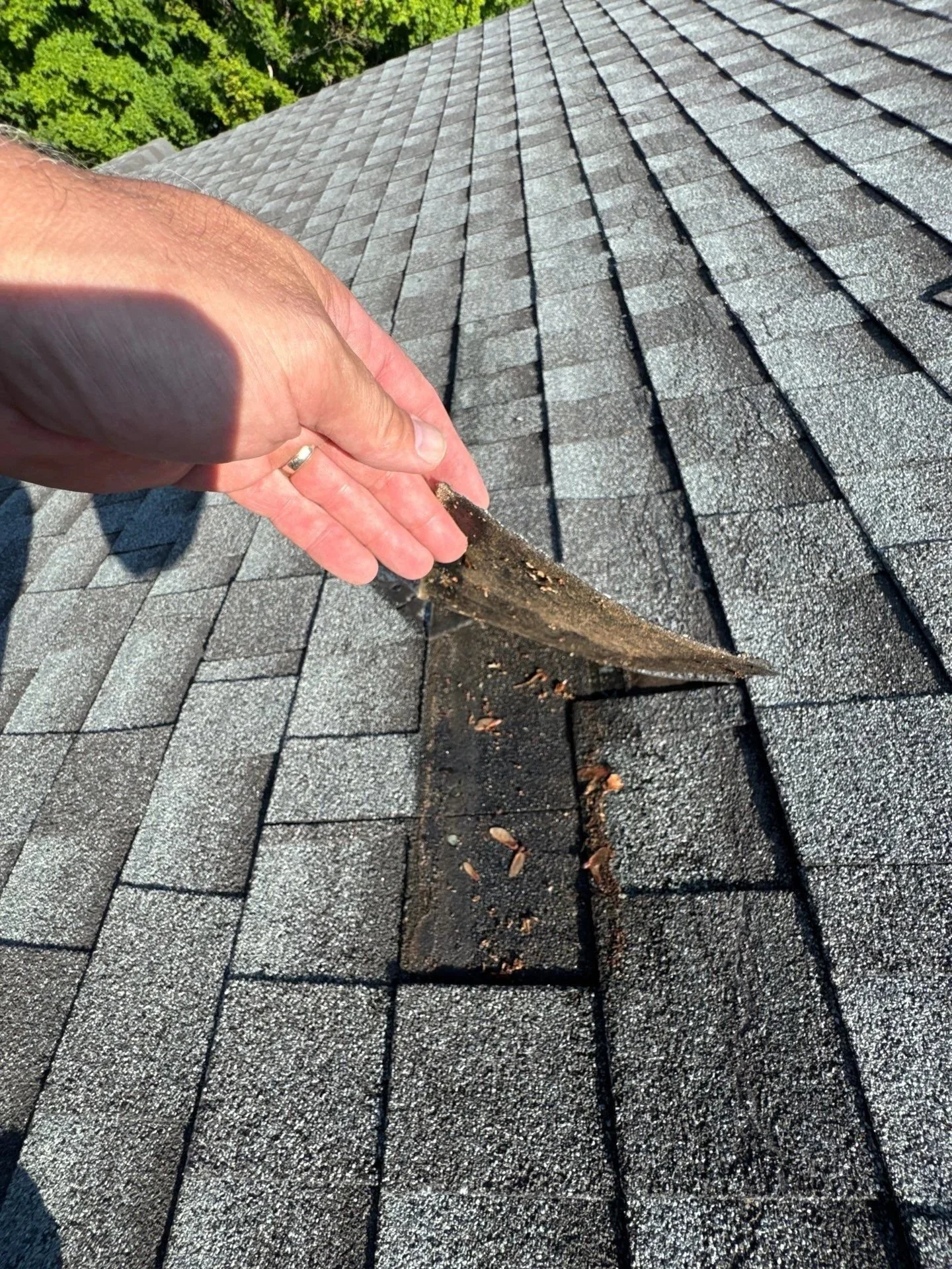Close-up of a person's hand lifting a damaged section of a shingled roof, revealing a hole and debris underneath, with a green treetop in the background.