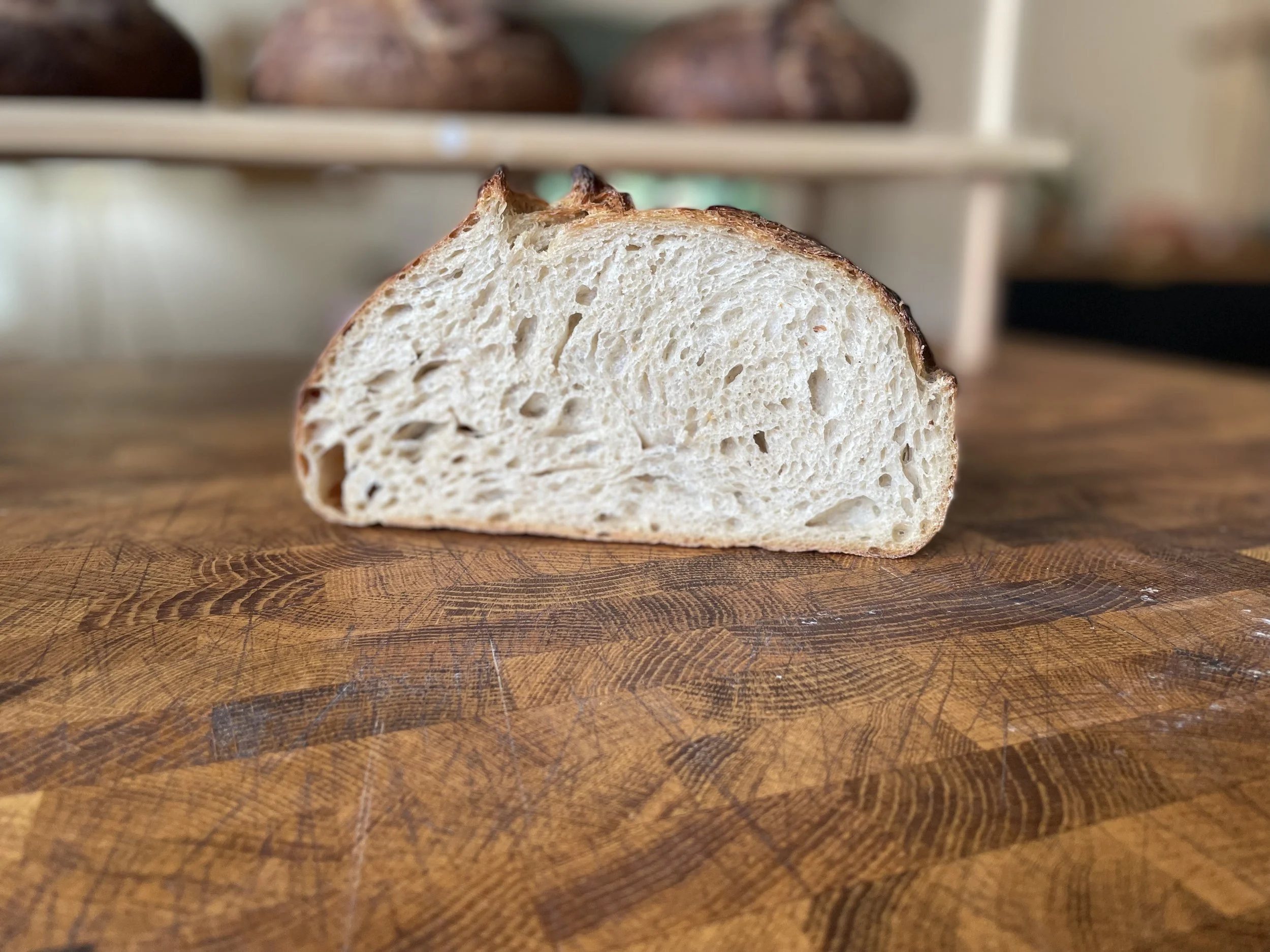 The OG Sourdough Loaf