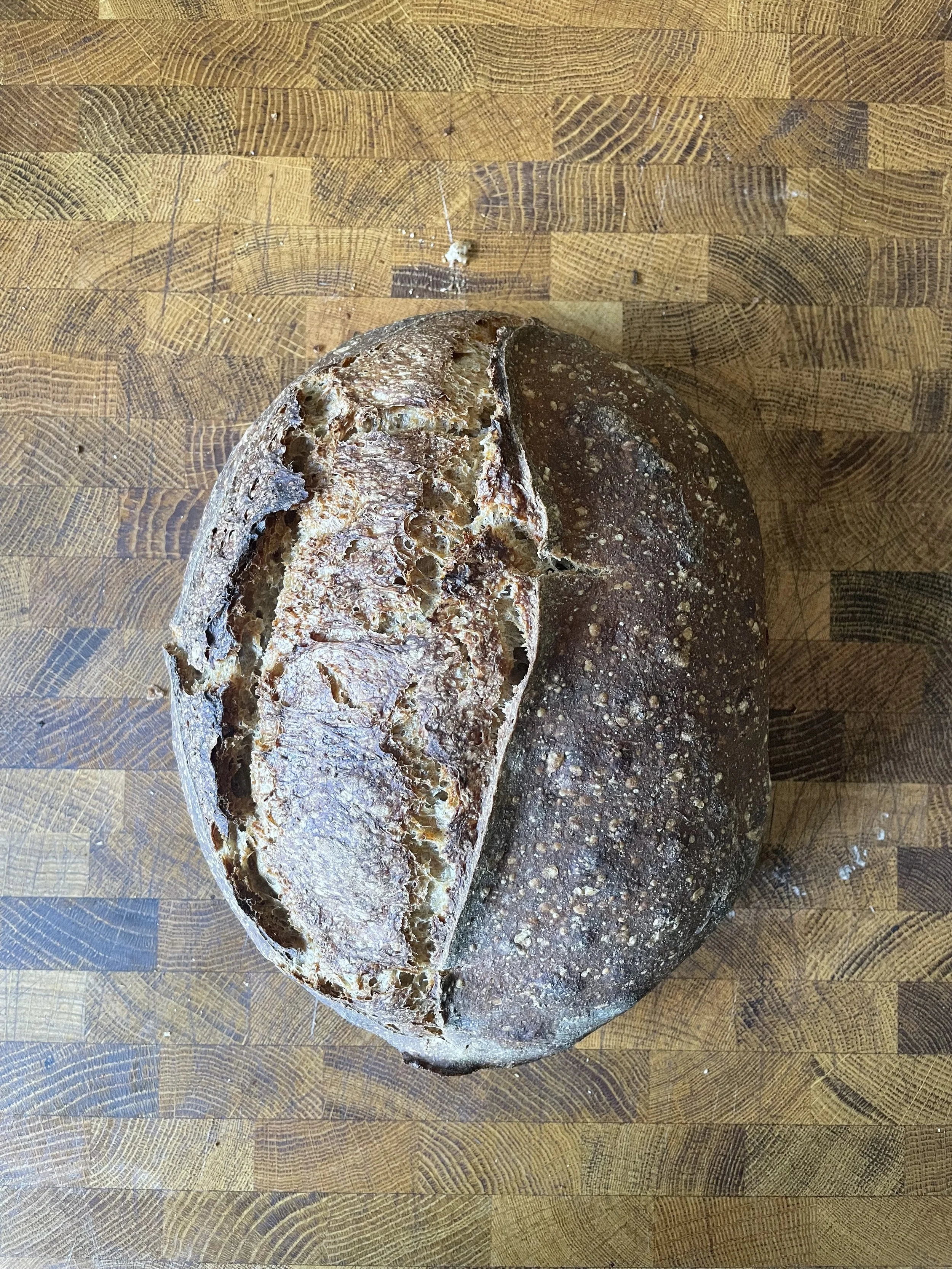Whole Grain Sourdough Loaf
