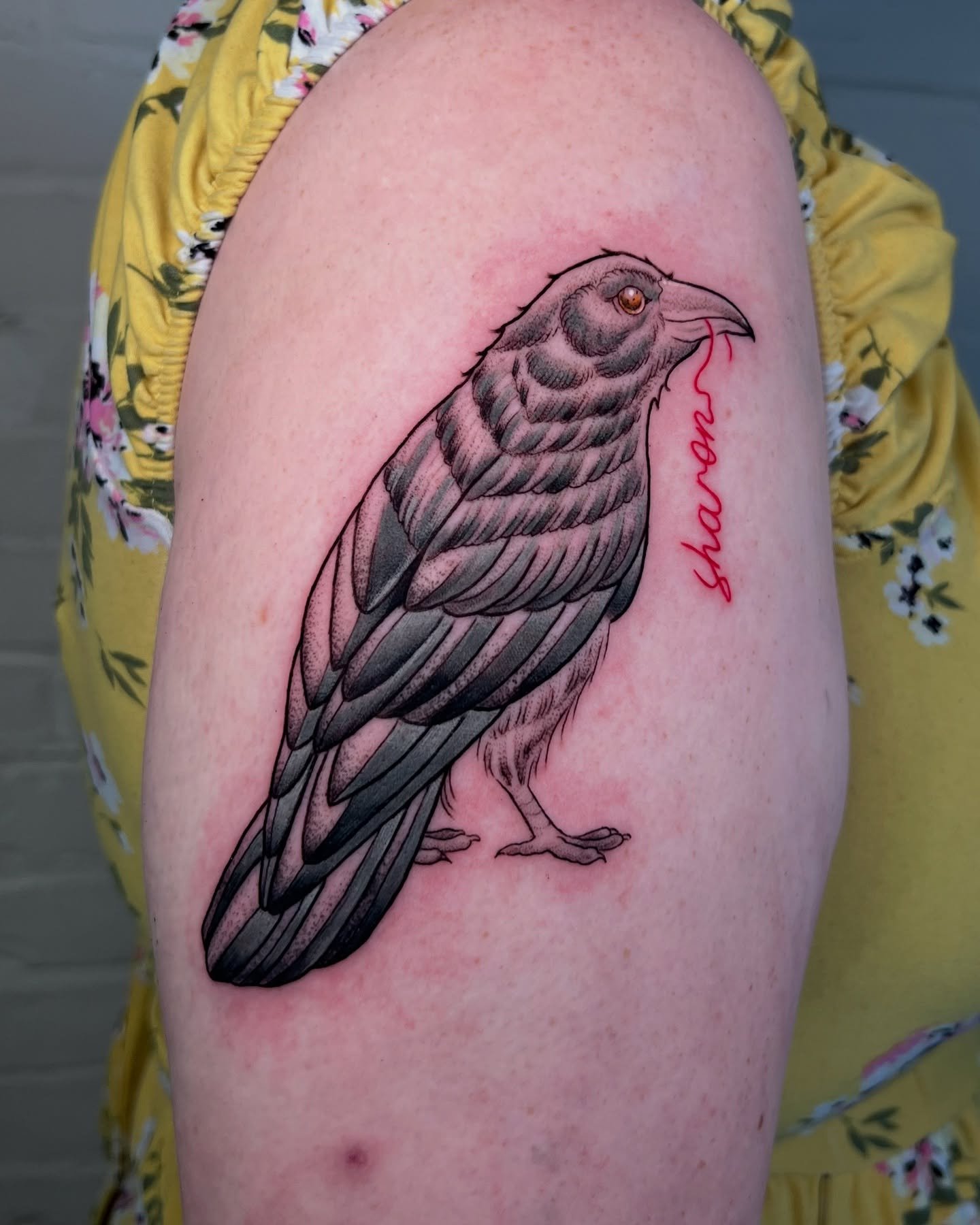 A crow for sharon
.
.
#crowtattoo #tattoo #portlandmaine