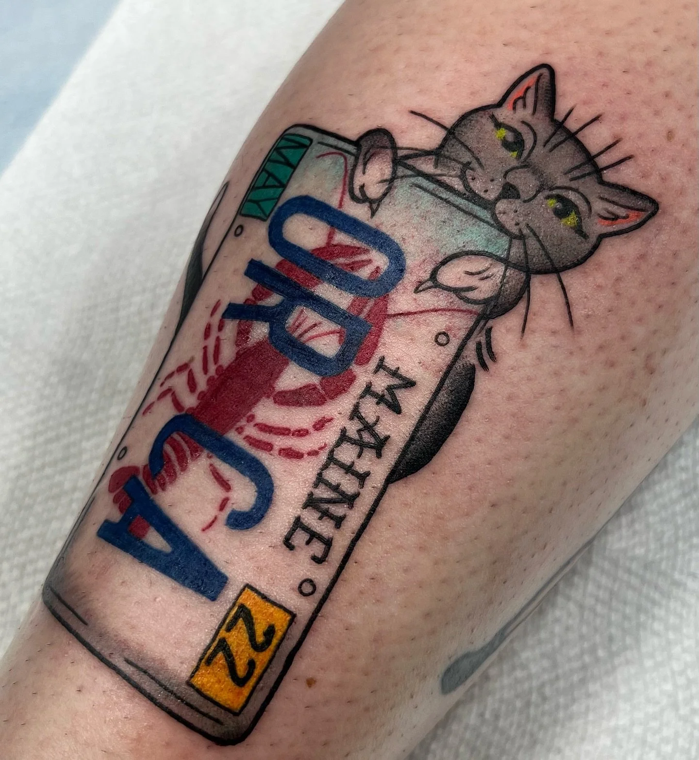 A lil cat portrait tattoo! Orca, with a vintage maine license plate! Let me tattoo your cat on you! 😊🙌🏽
.
.
#cattattoos #tattoo #cutetattoo