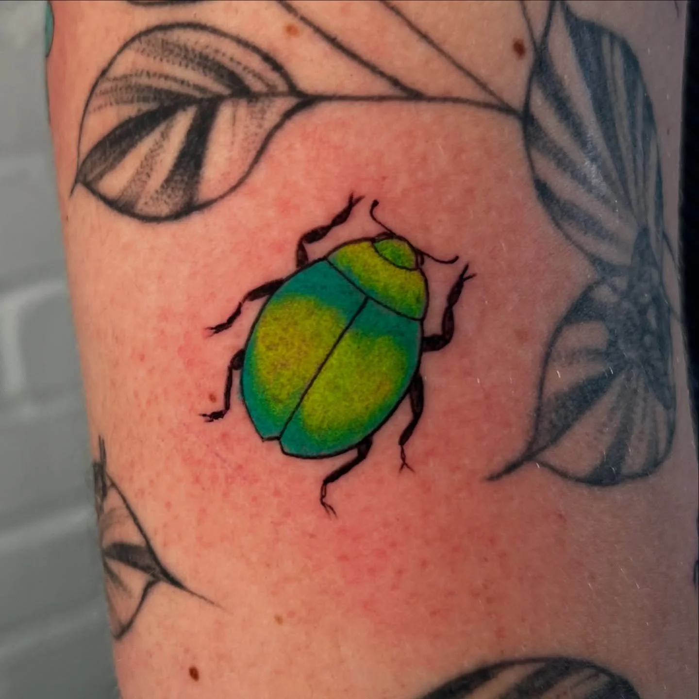 A little group of bug fillers 🐞🐛🐜🦟🪲
.
.
#bugart #gapfiller #tattoo