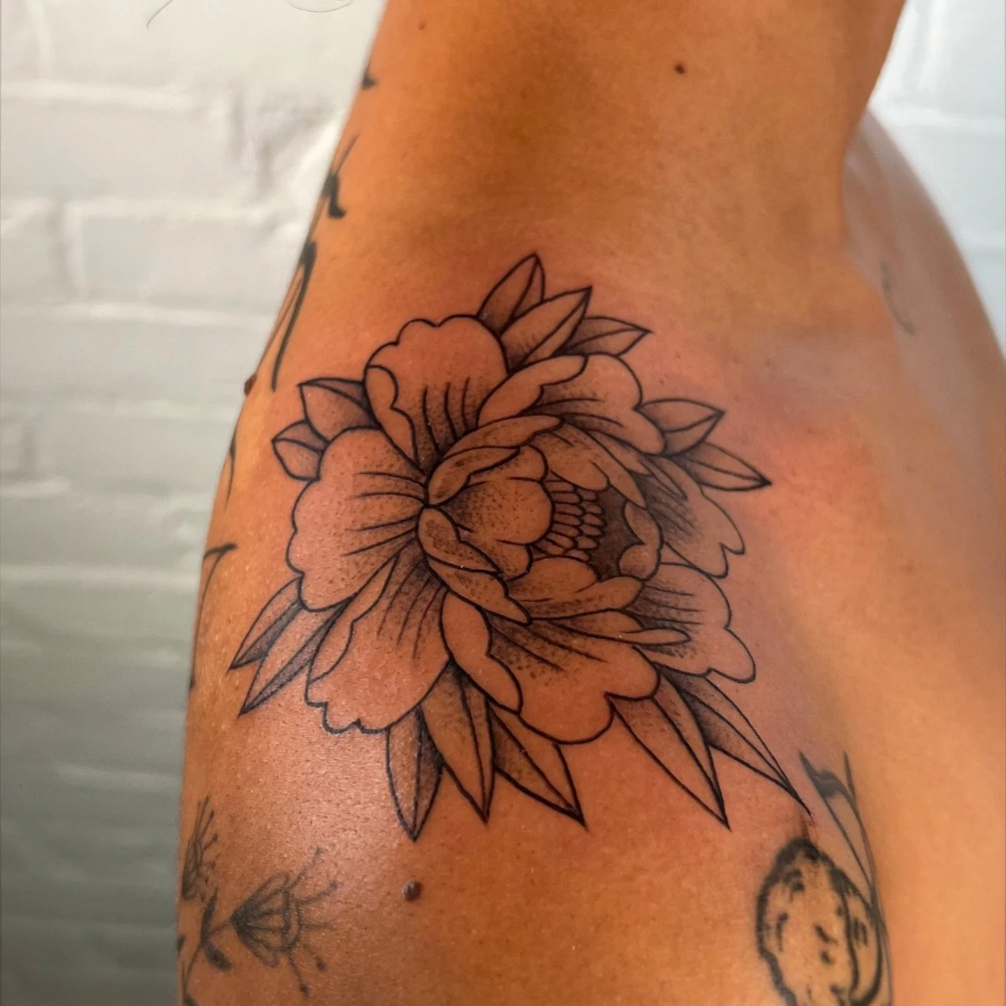Stipple shaded Peony tattoo on the shoulder!!
