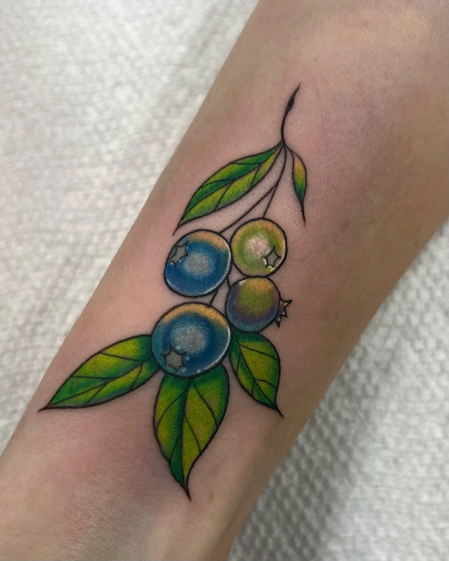 A little sprig of blueberries! 🫐 Whats your favorite iconic maine item! Mines probably maple syrup 🍁
.
.
.
#colortattoo #blueberrytattoo #mainetattoo