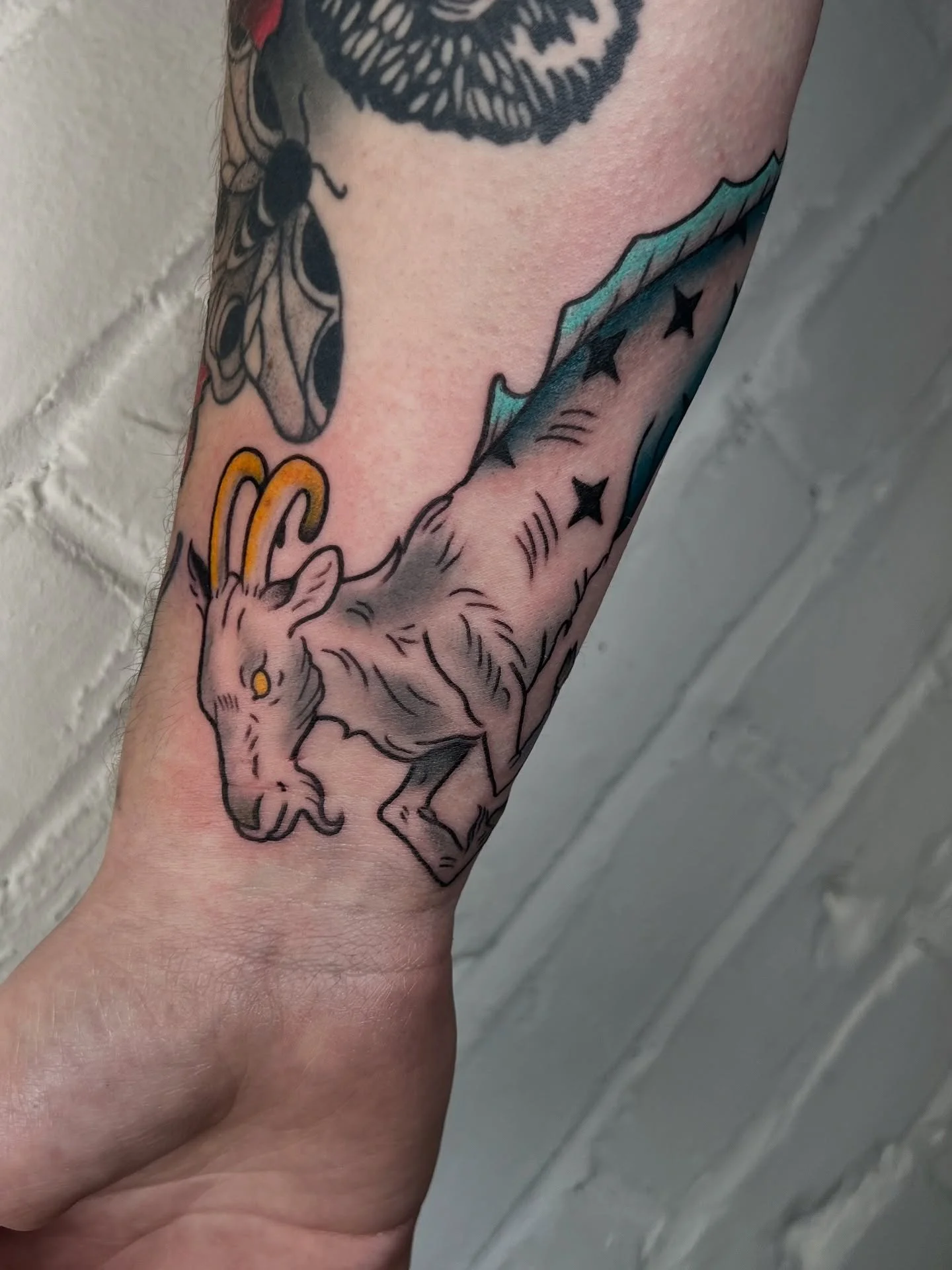 Capricorn tattoo from flash!! Next to a healed moth from my apprenticeship! 

#capricorn #capricorntattoo