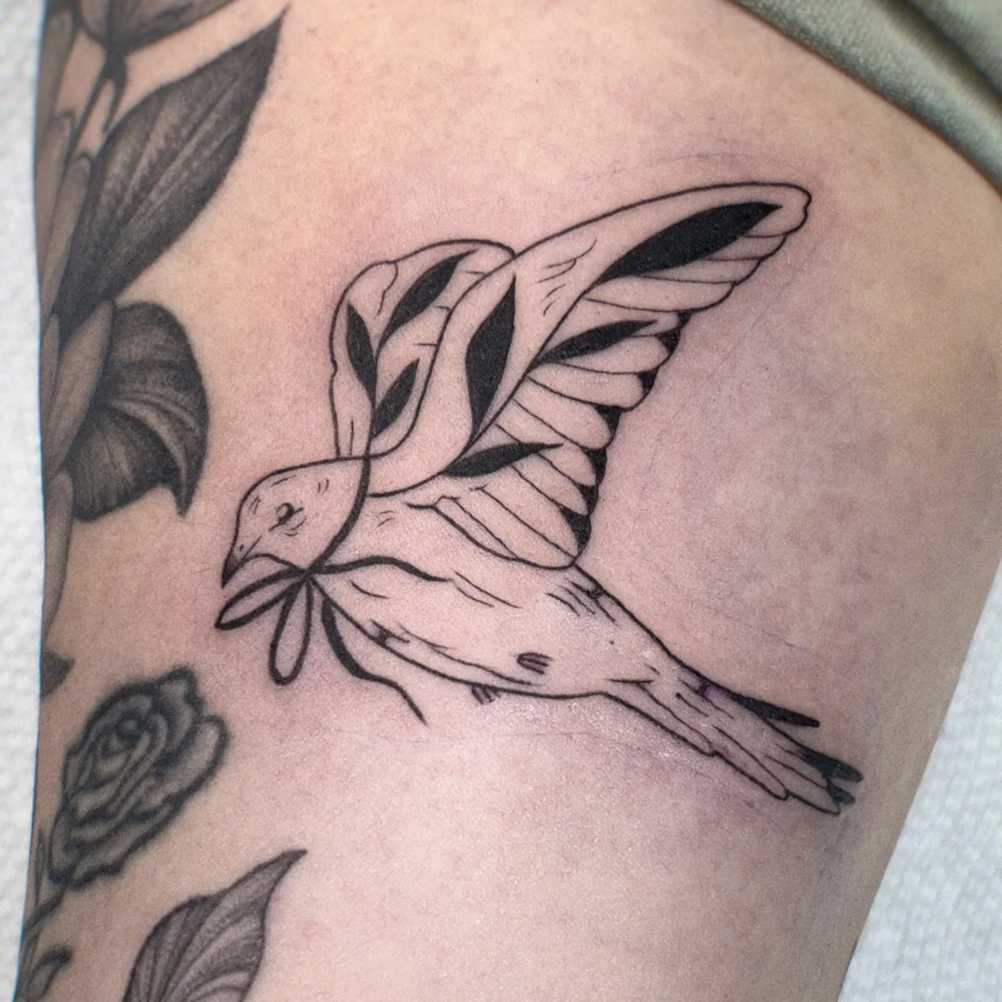 Little dove for december #tattoo #tattooflash