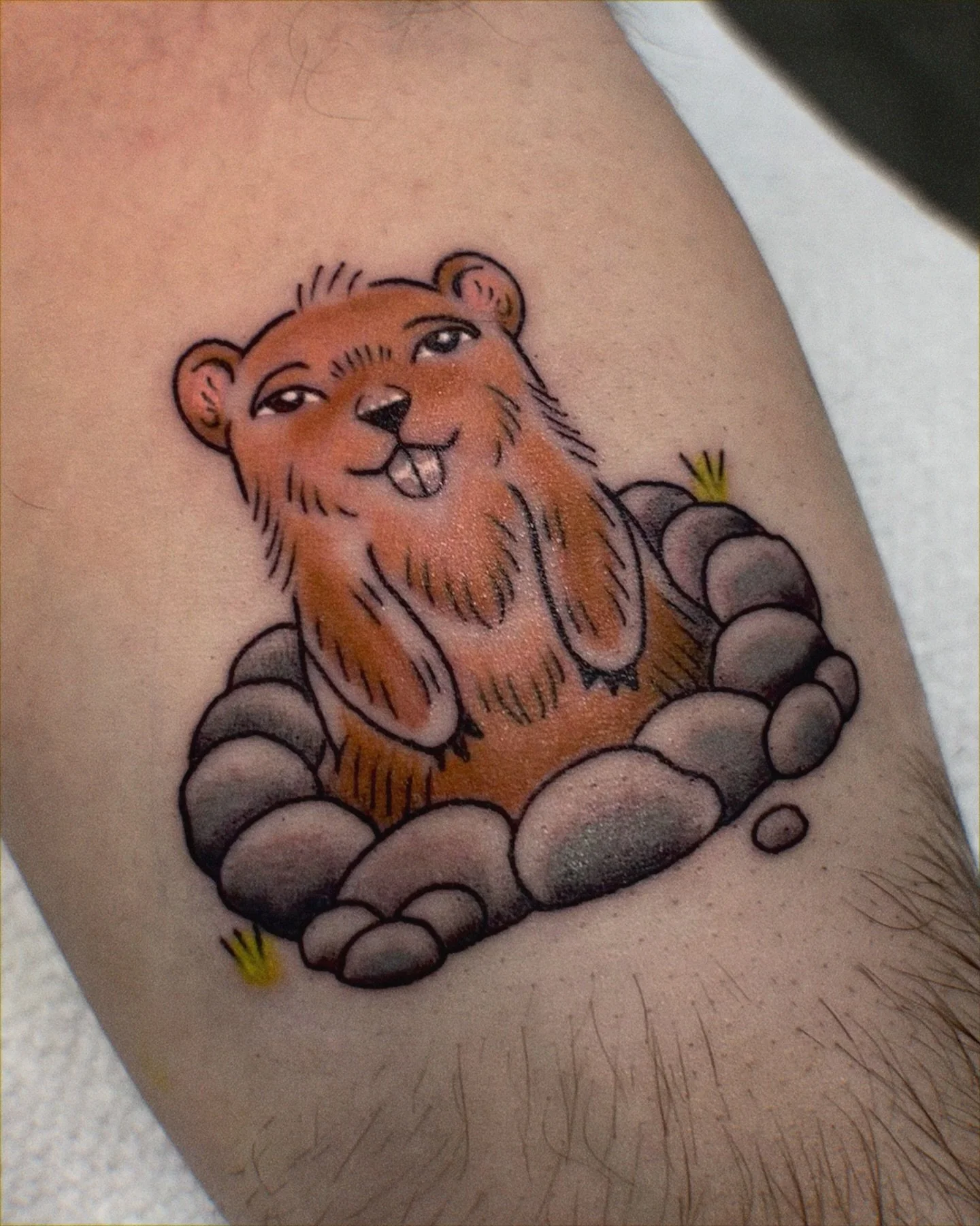 Happy groundhogs day!!! Do you think Punxsutawney Phil will see his shadow. I really can&rsquo;t take anymore winter. These cuties were done to celebrate a clients anniversary 💕💕
.
.
.
#groudhogday