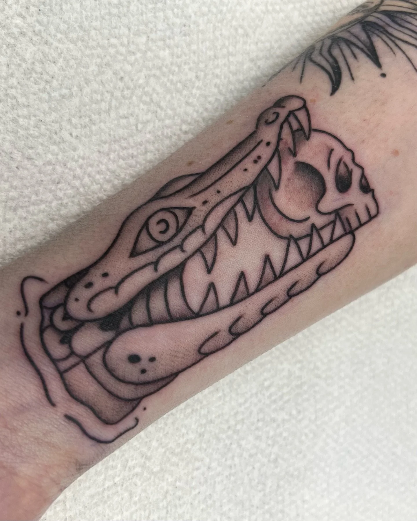 Florida Gator 🐊 In Portland Maine ☺️🙌🏽 what animal would you use to describe your state?