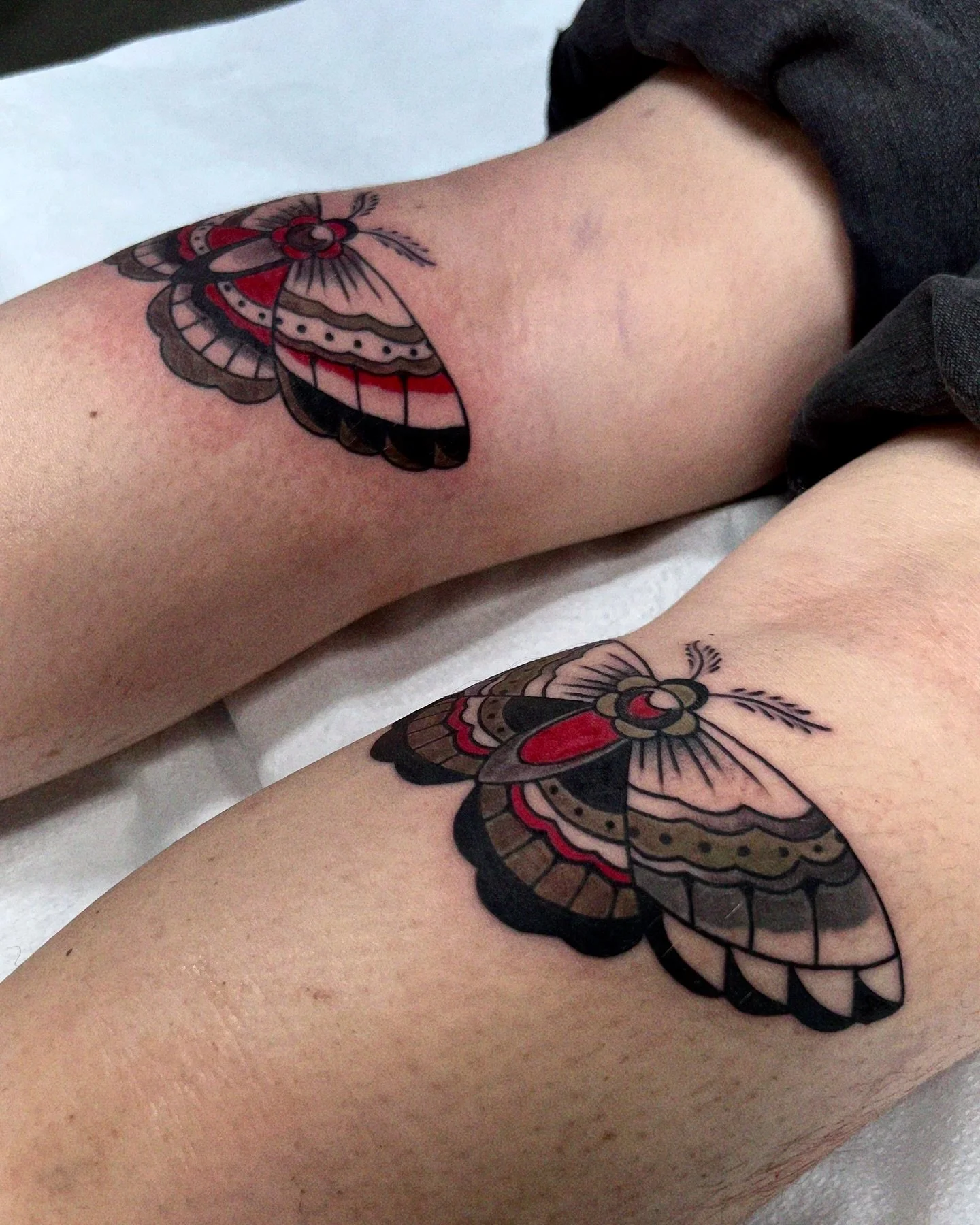 Same but different moths!