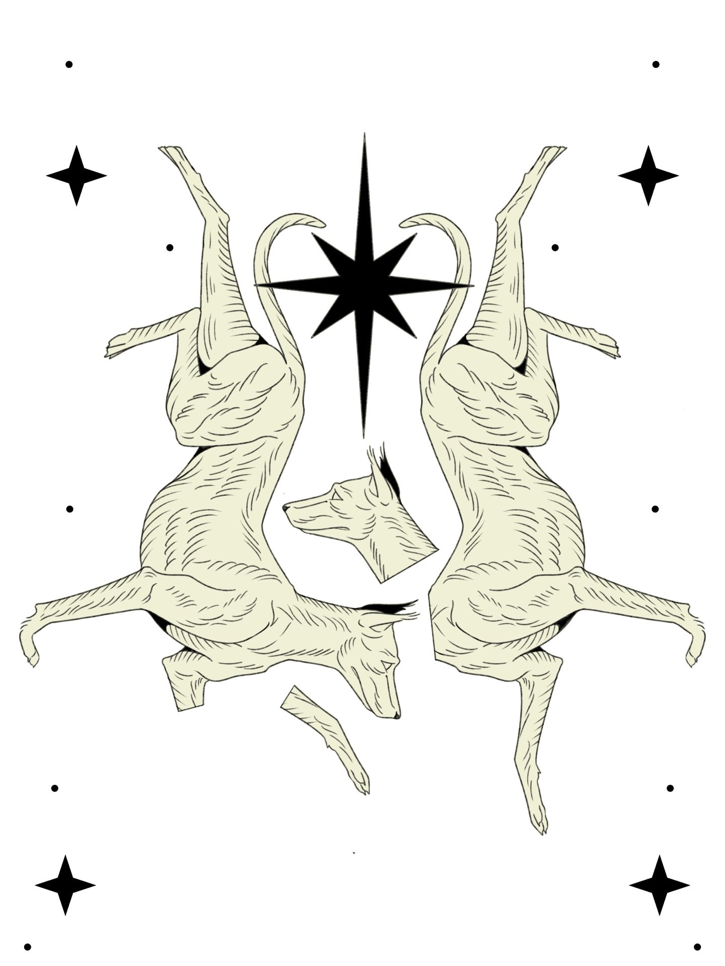 Some Greyhound flash up for grabs!