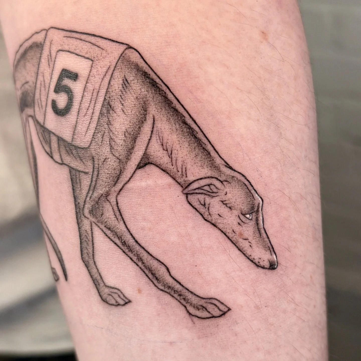 A pair of greyhounds! one shaded one lines 😊🙌🏽
