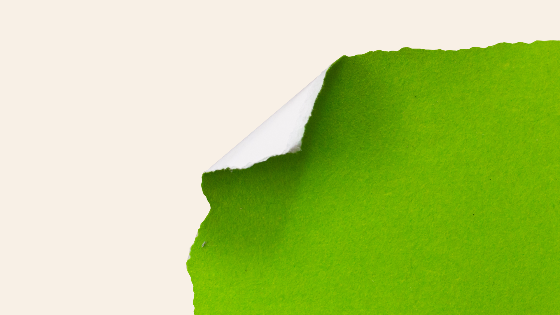 Noz Brand &amp; Digital Marketing