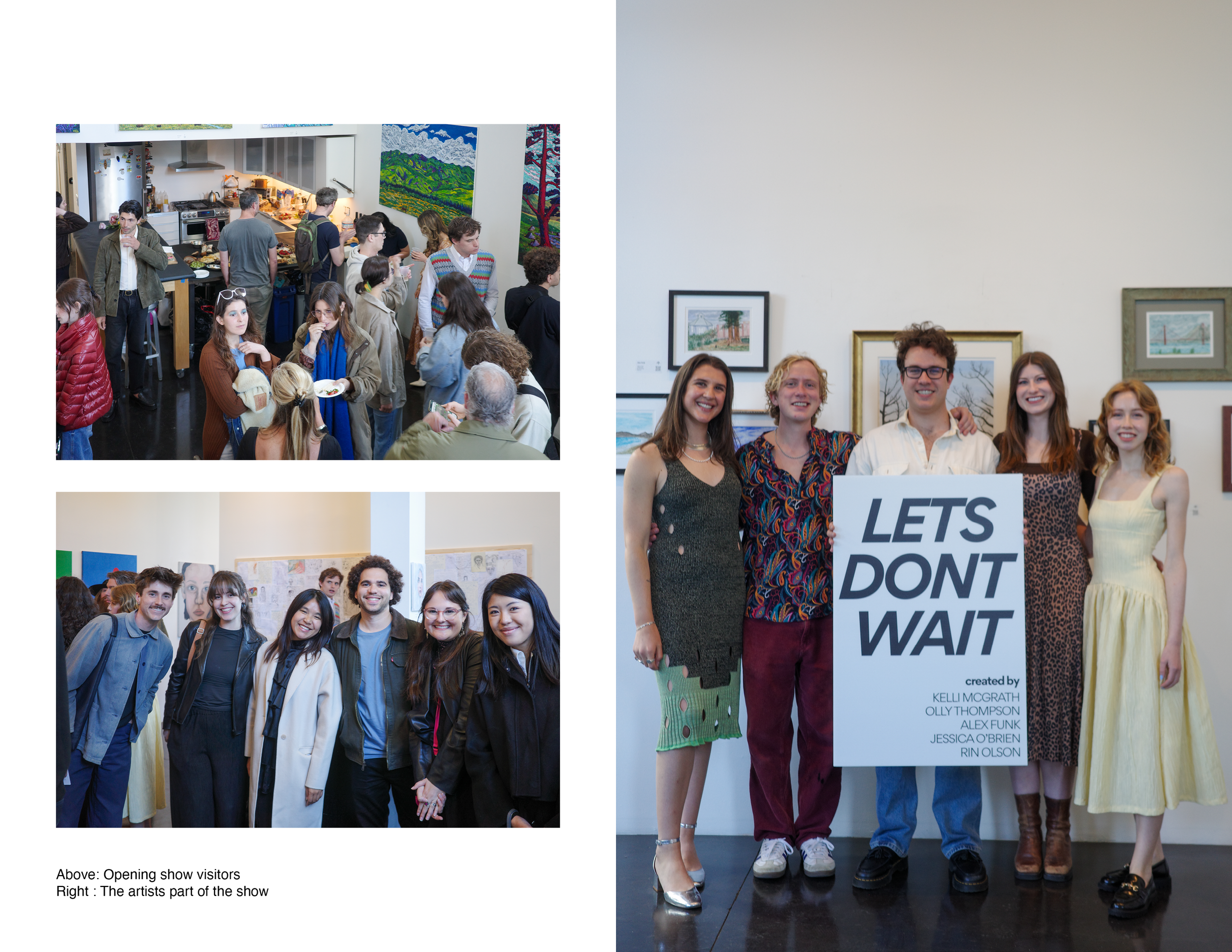 Window Shades Portfolio29.png