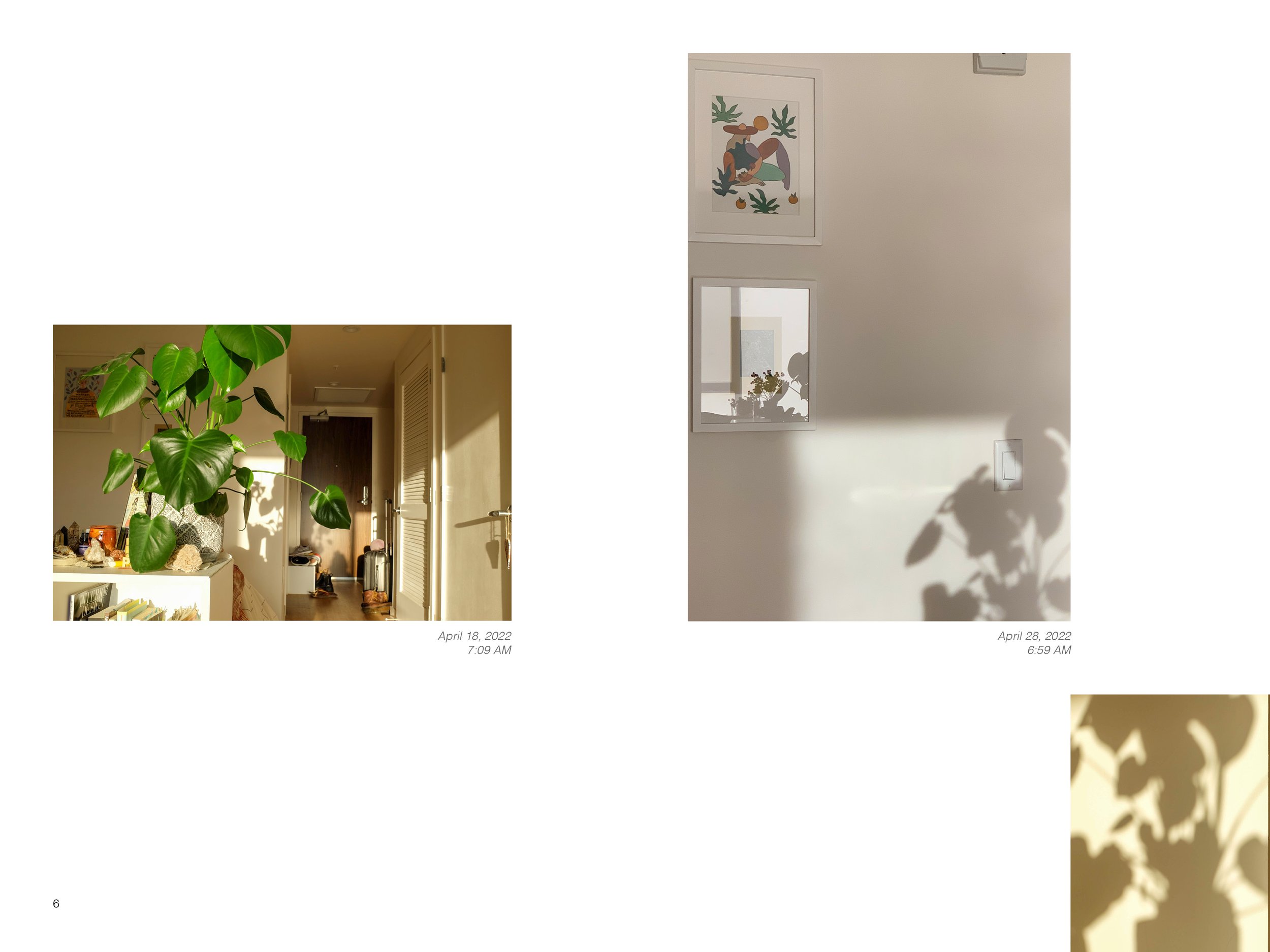 2022 Light Book _for website4.jpg
