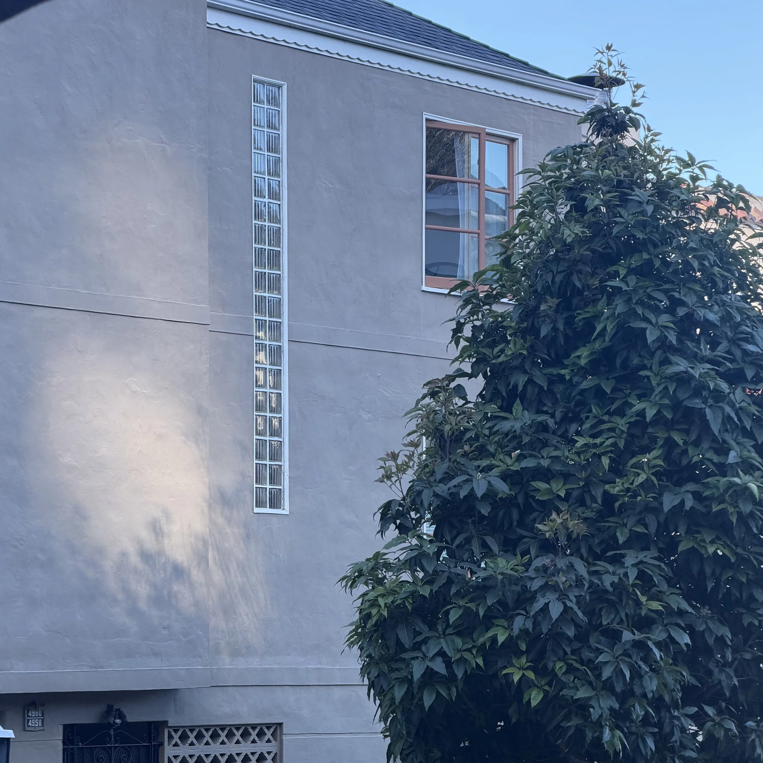 San Francisco, CA 2026 - Kelli McGrath
