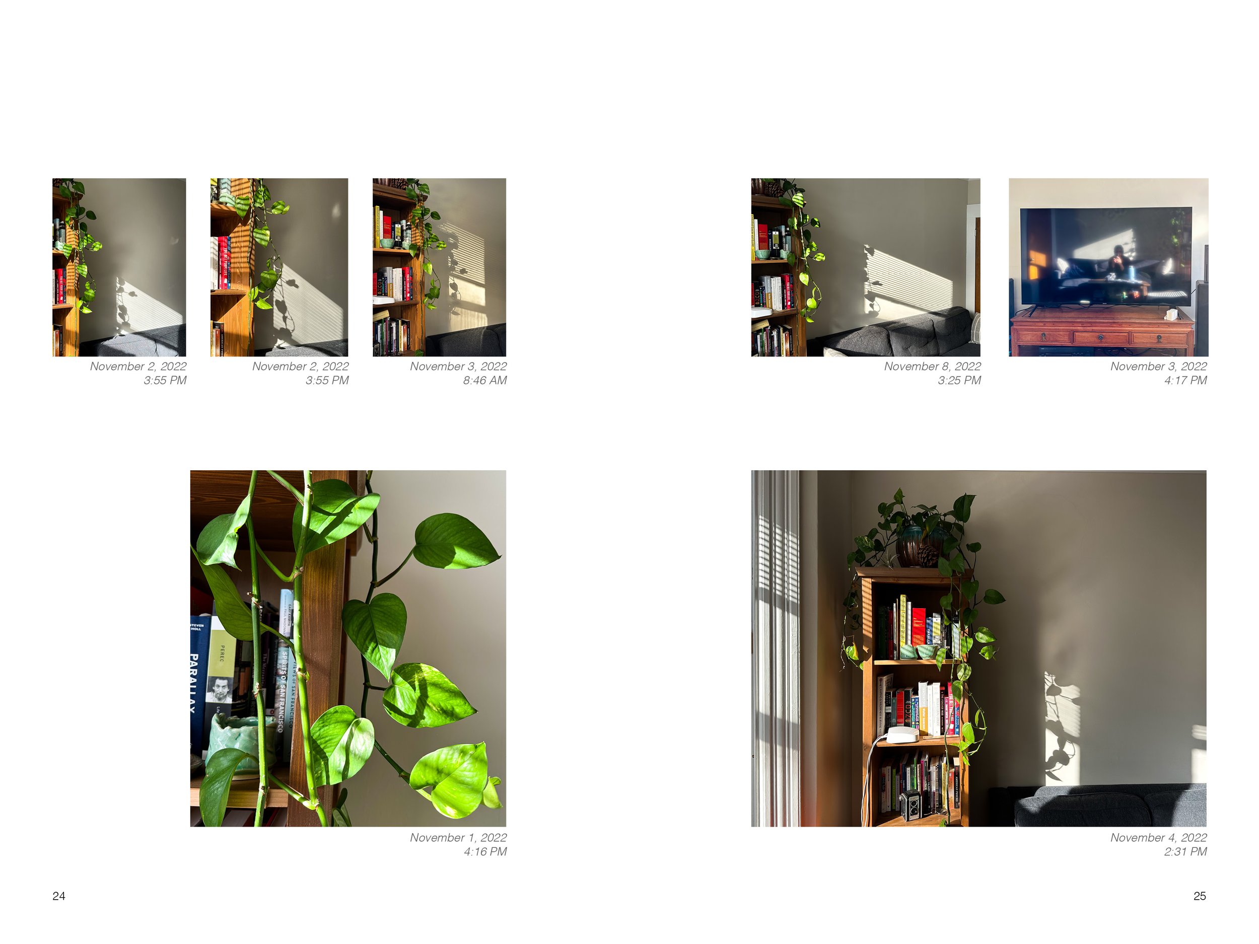 2022 Light Book _for website13.jpg