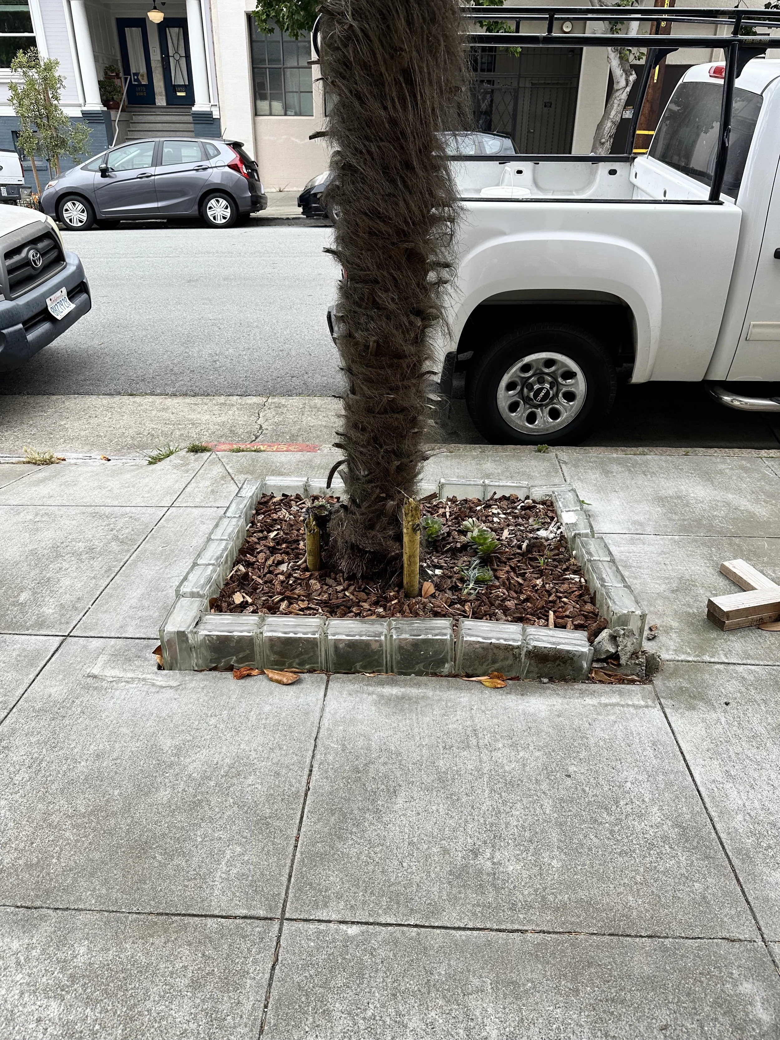 San Francisco, CA 2026 - Hannah Holzer